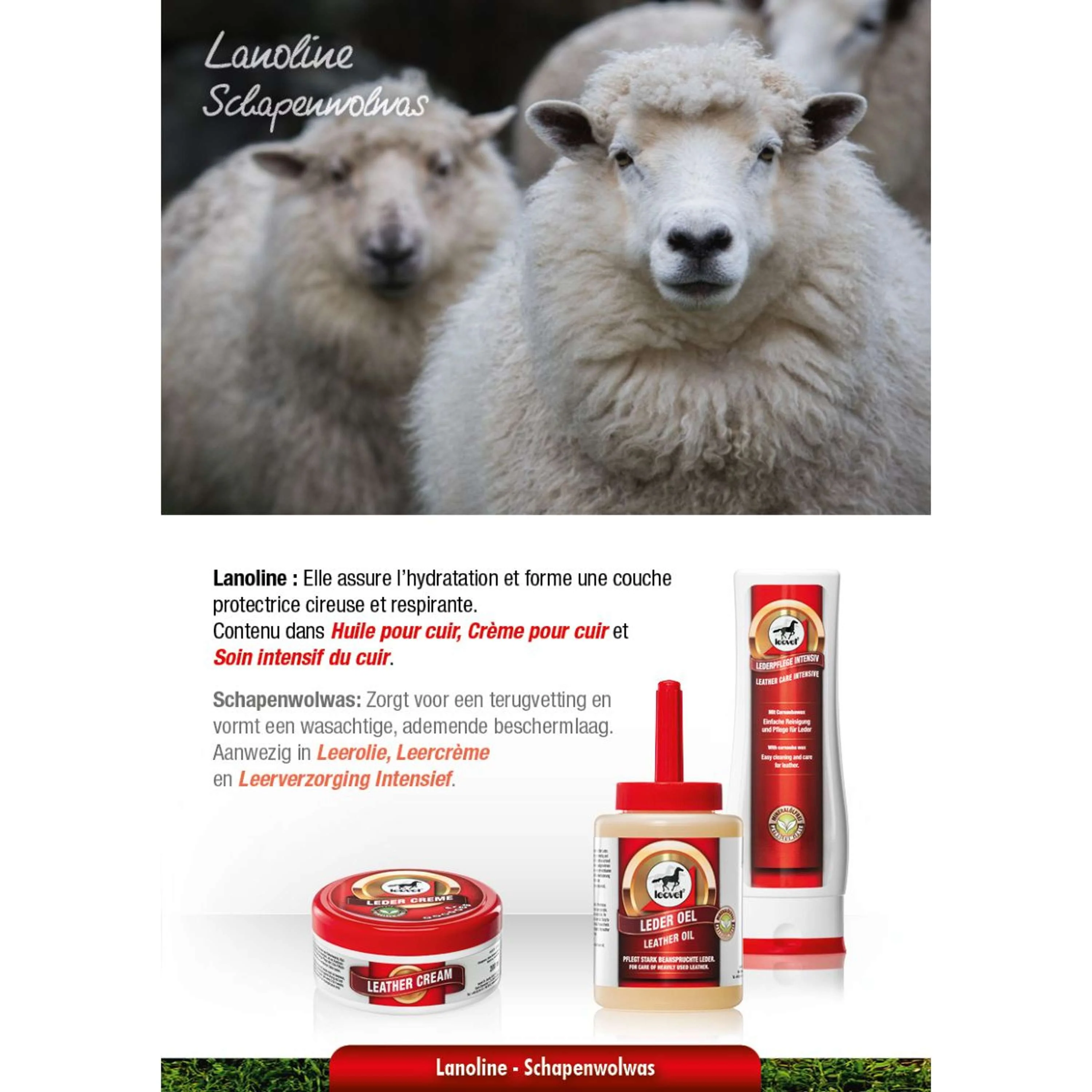 Leovet Leather Care Intensive - Image 9