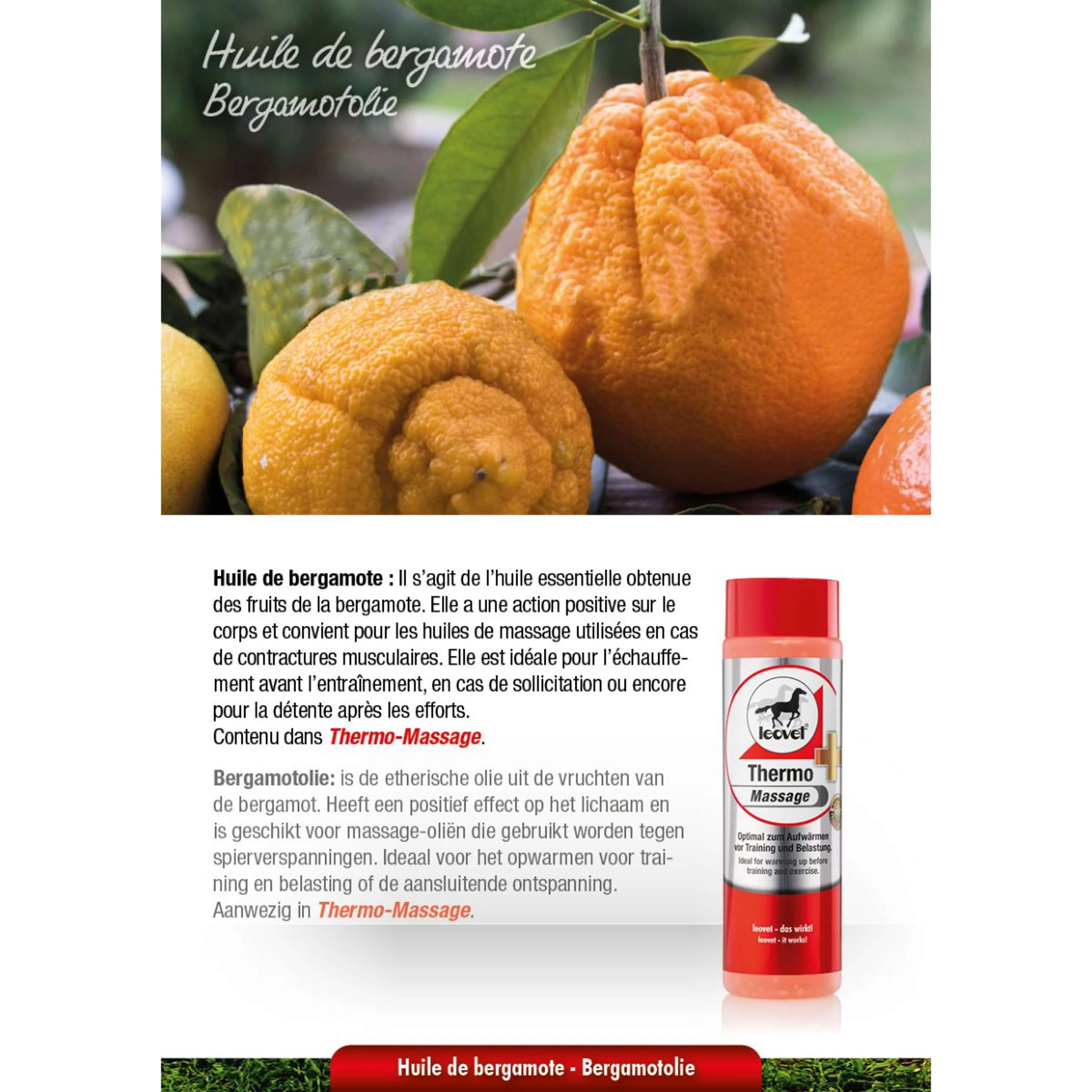 Leovet Massage Thermique - Image 2