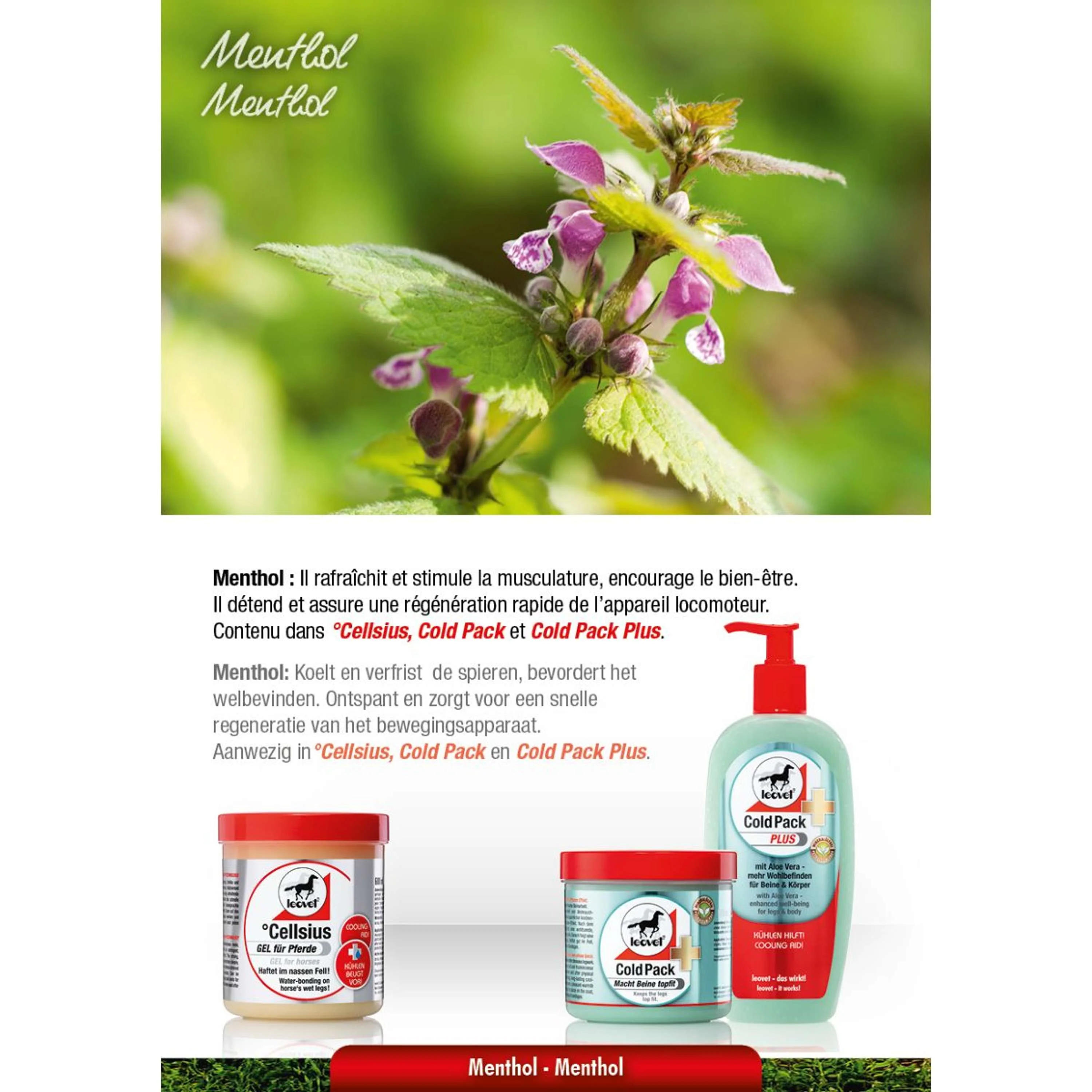 Leovet Pack de Froid - Image 3
