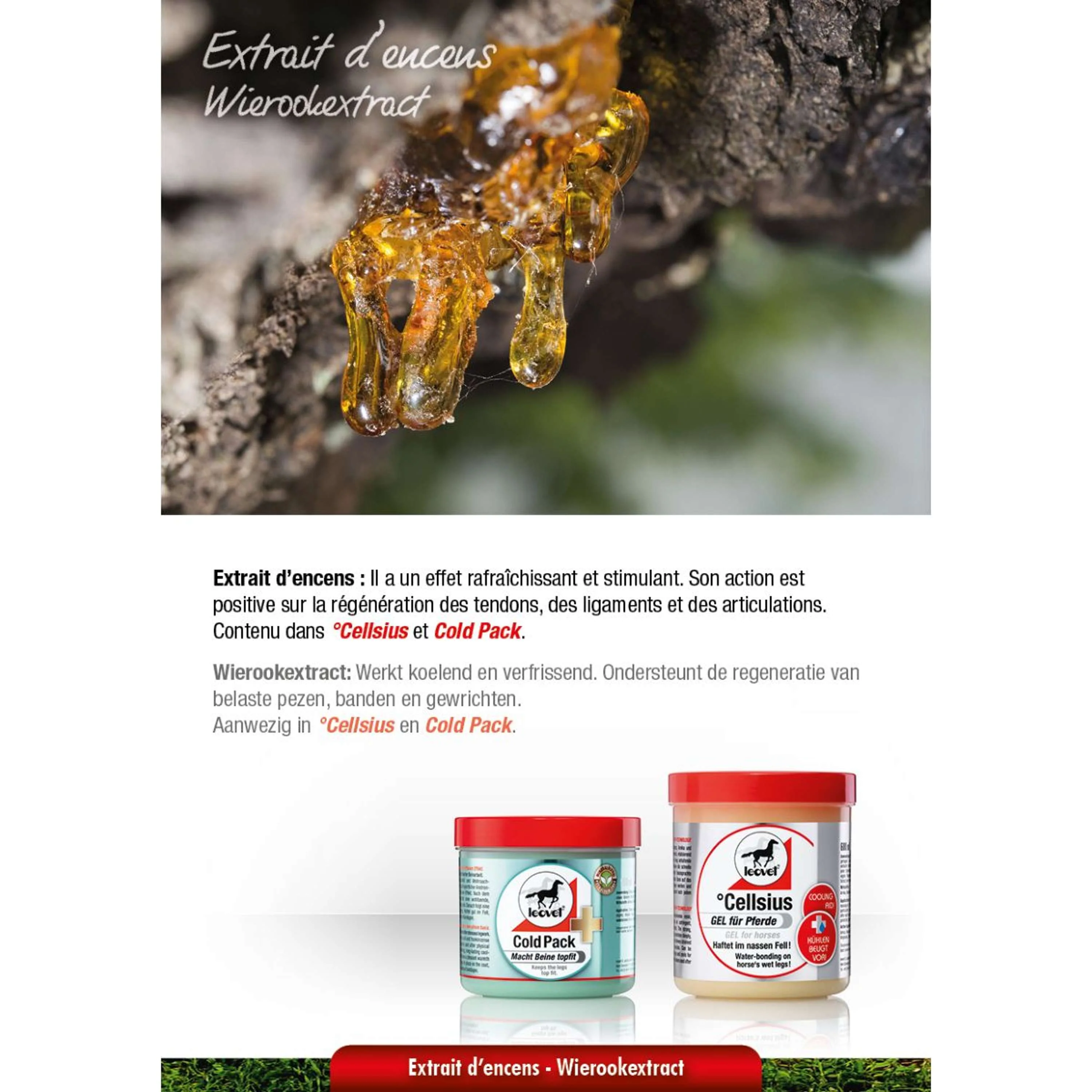 Leovet Pack de Froid - Image 4