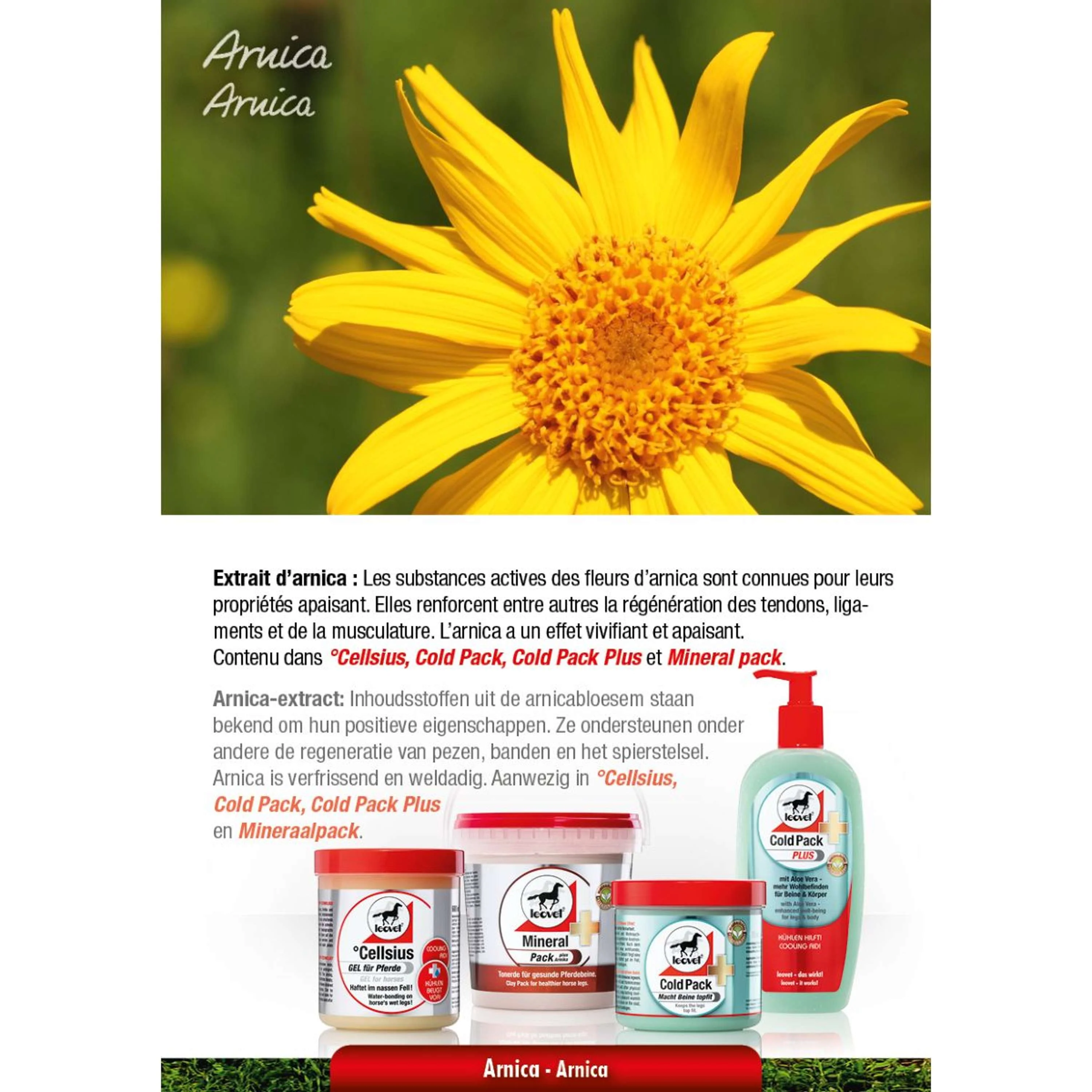 Leovet Shampooing Puissant Camomille - Image 3