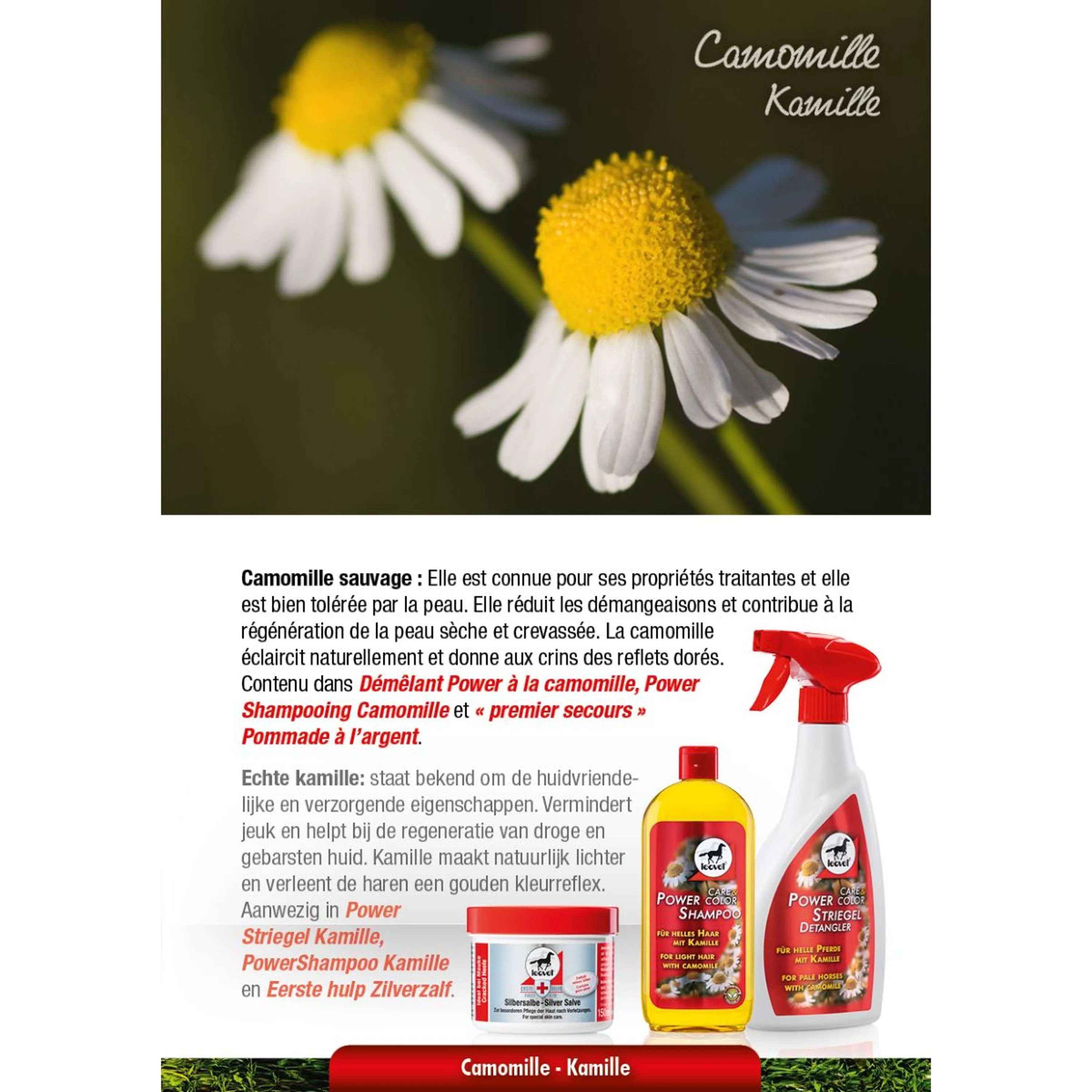 Leovet Shampooing Puissant Camomille - Image 4