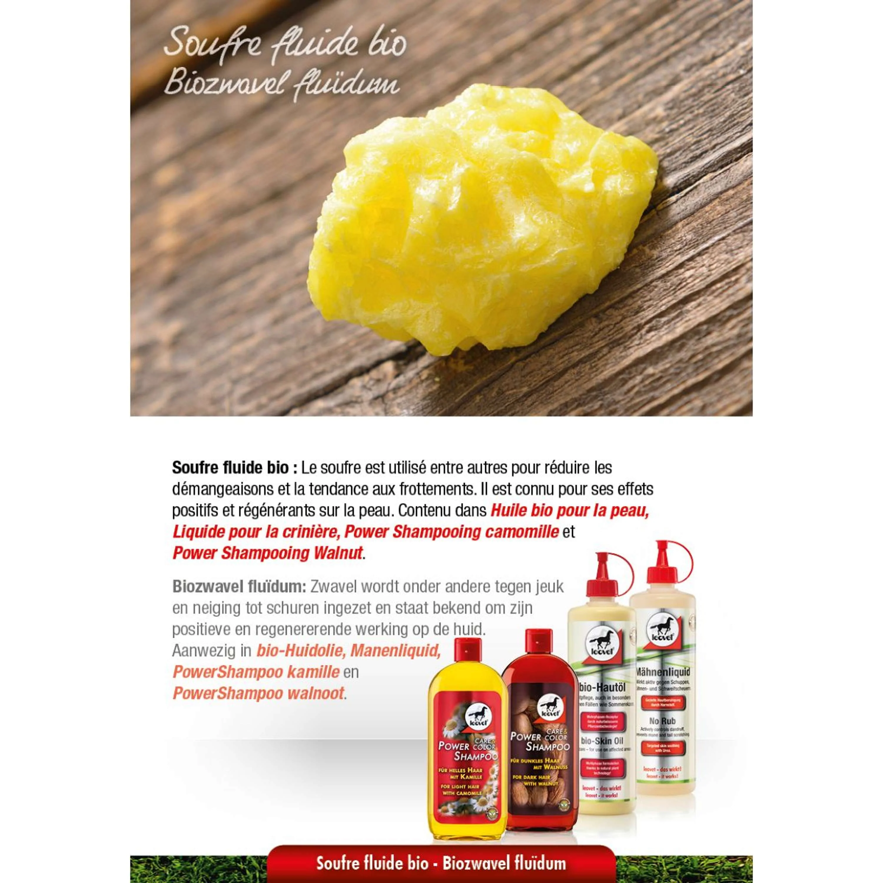 Leovet Shampooing Puissant Noix - Image 2