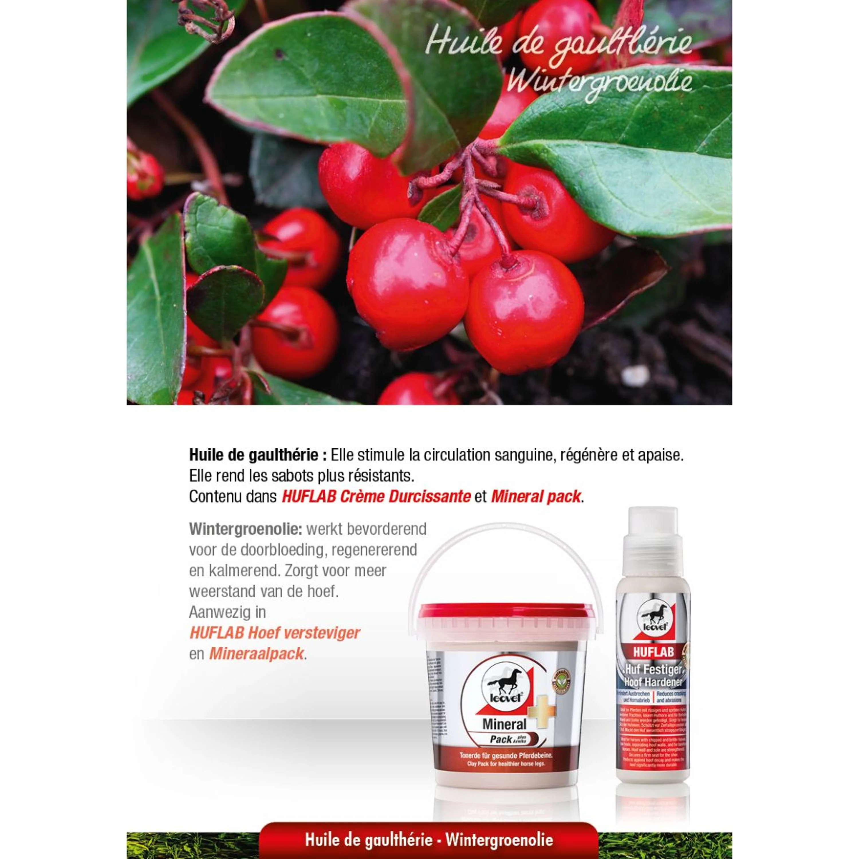 Leovet Terre Glaise - Image 3