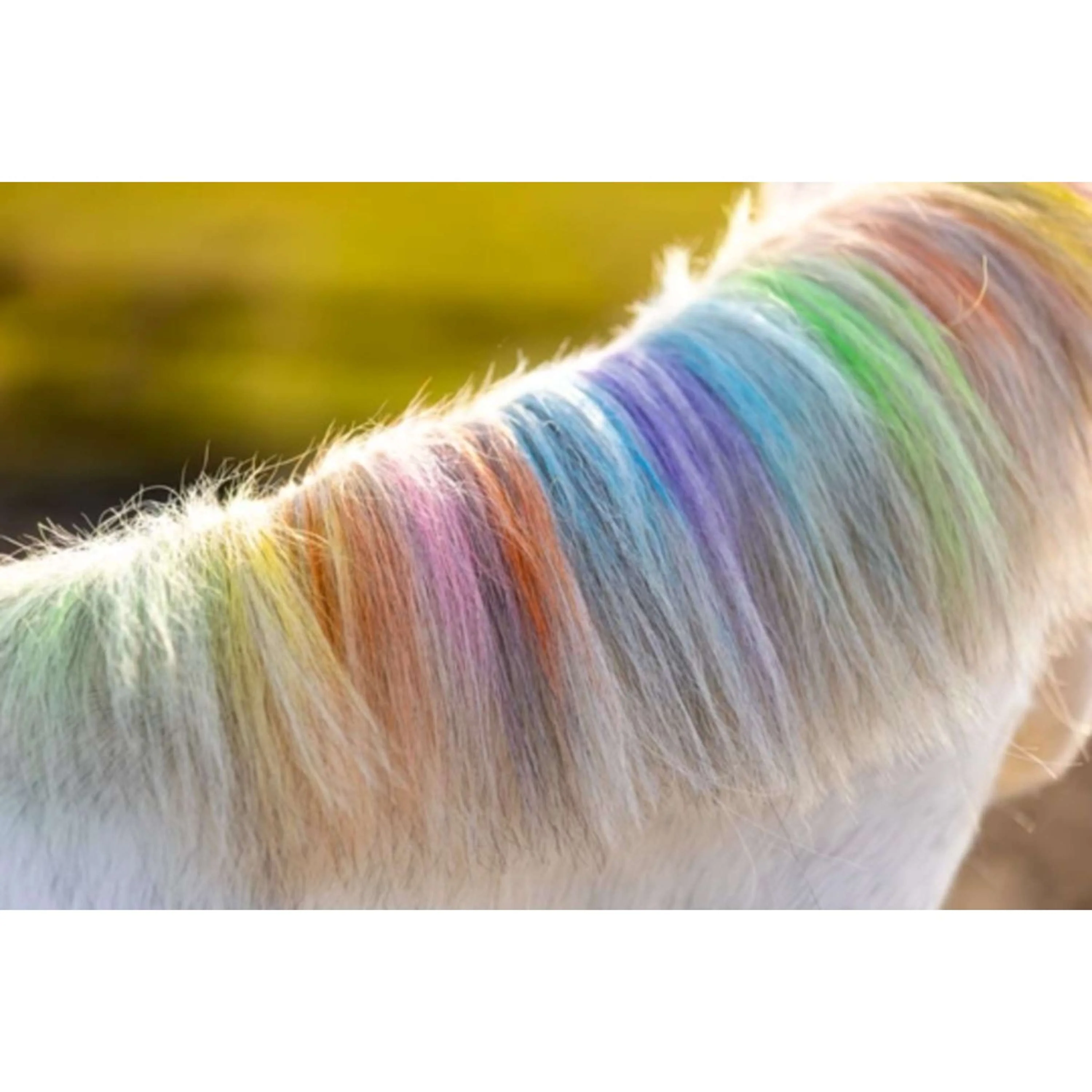 Lucky Horse des Crayons arc-en-ciel - Image 2