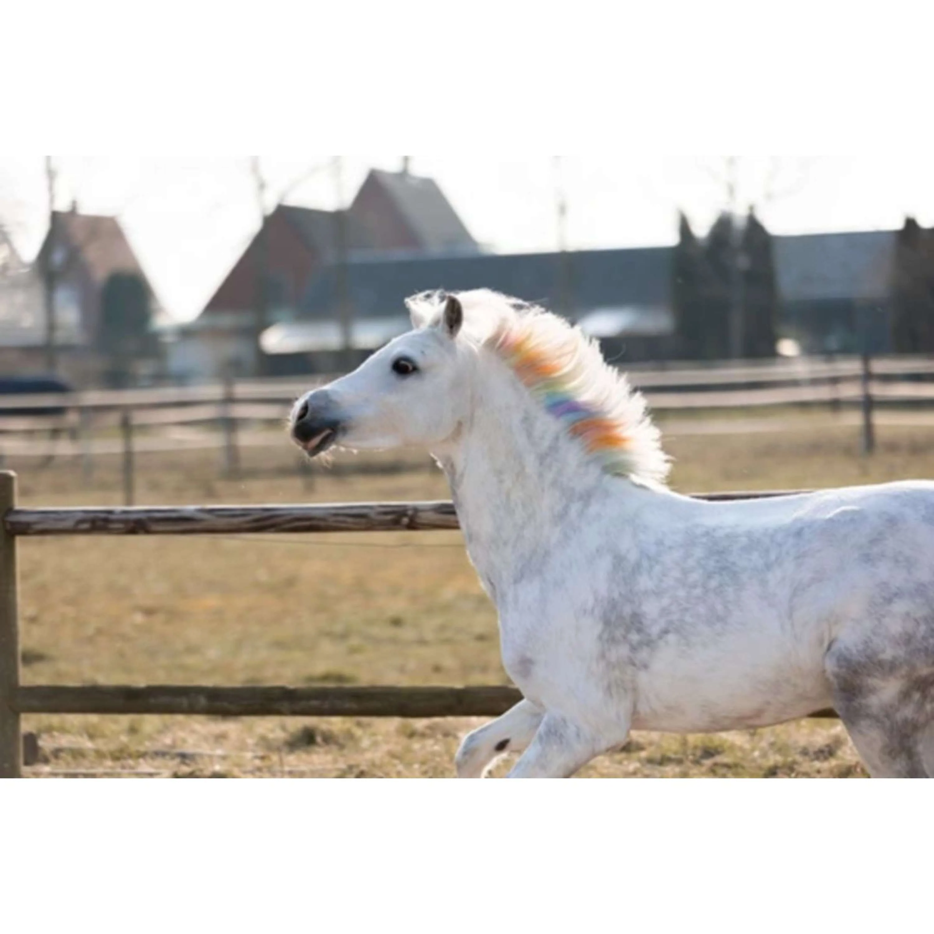 Lucky Horse des Crayons arc-en-ciel - Image 4