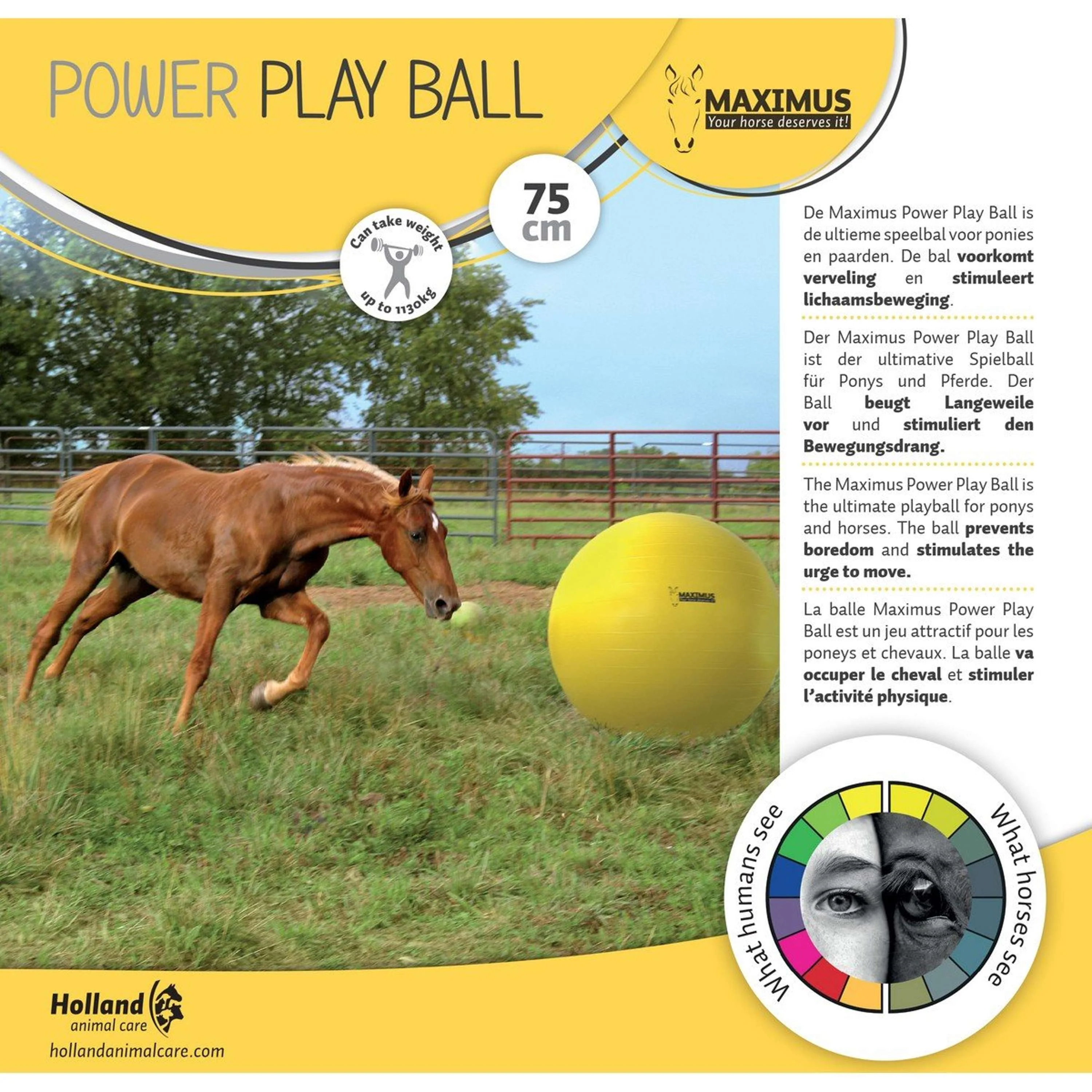 Maximus Balle Power Play Jaune - Image 2