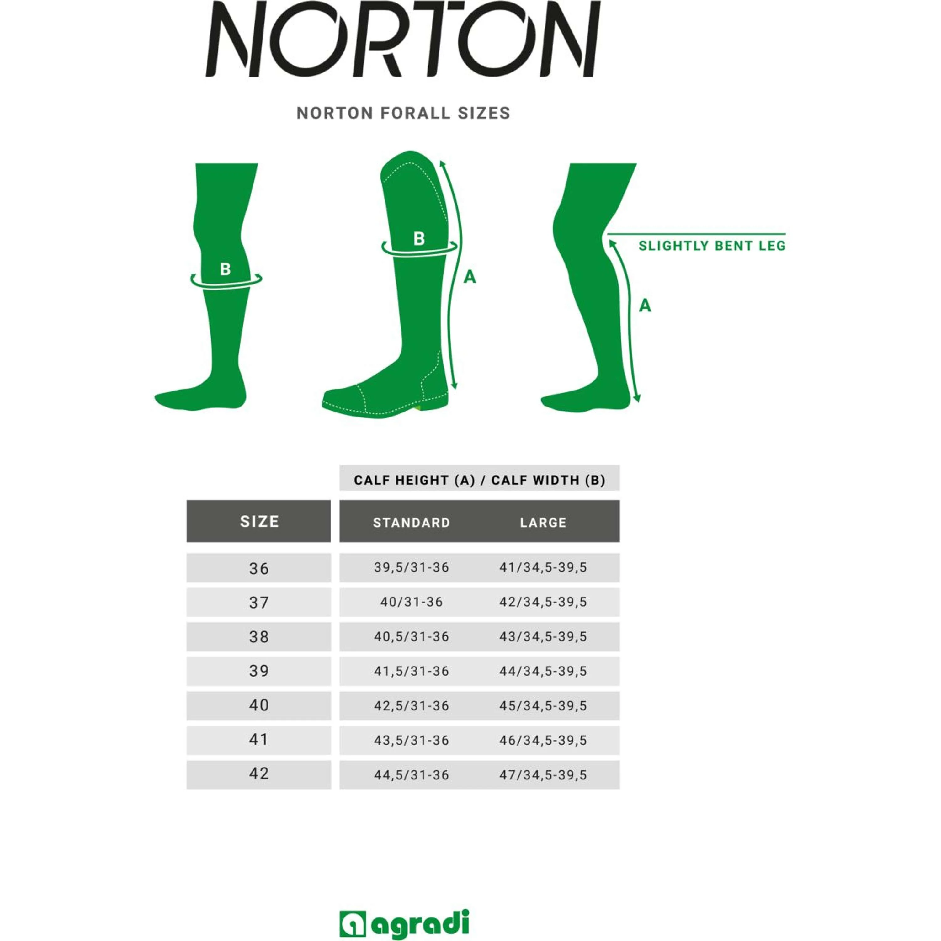 Norton Bottes d'Équitation Forall Synthétique Noir - Image 11
