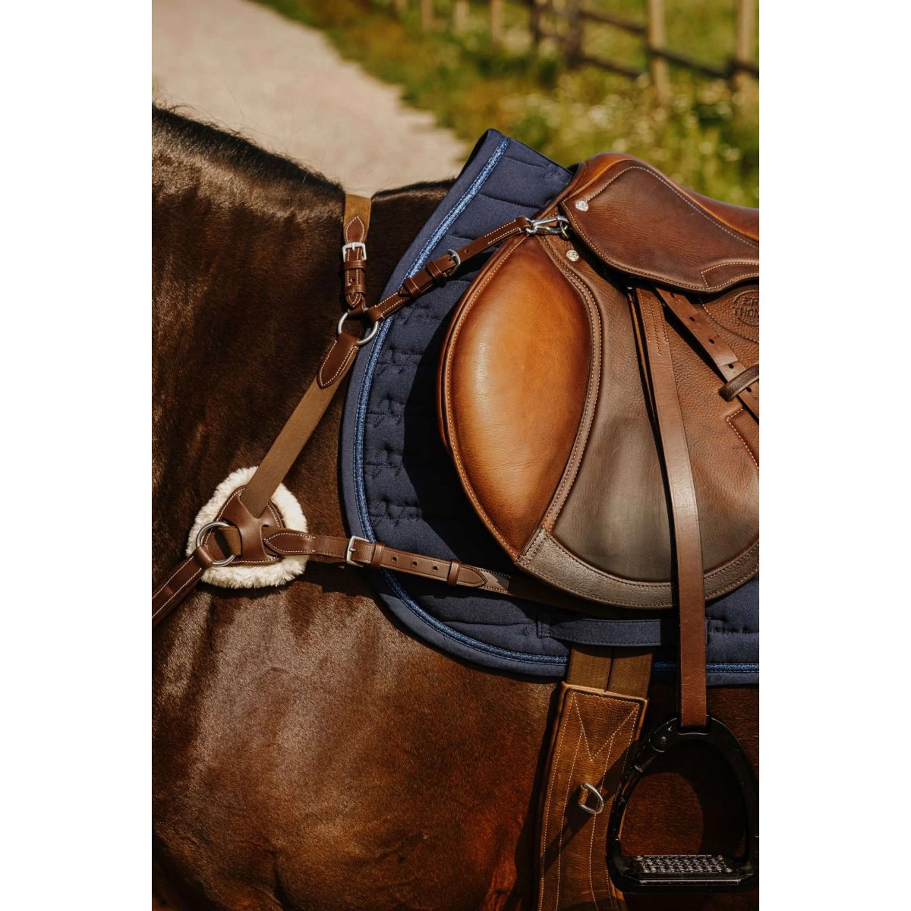 Norton Collier de Chasse 5 Points Havane - Image 4