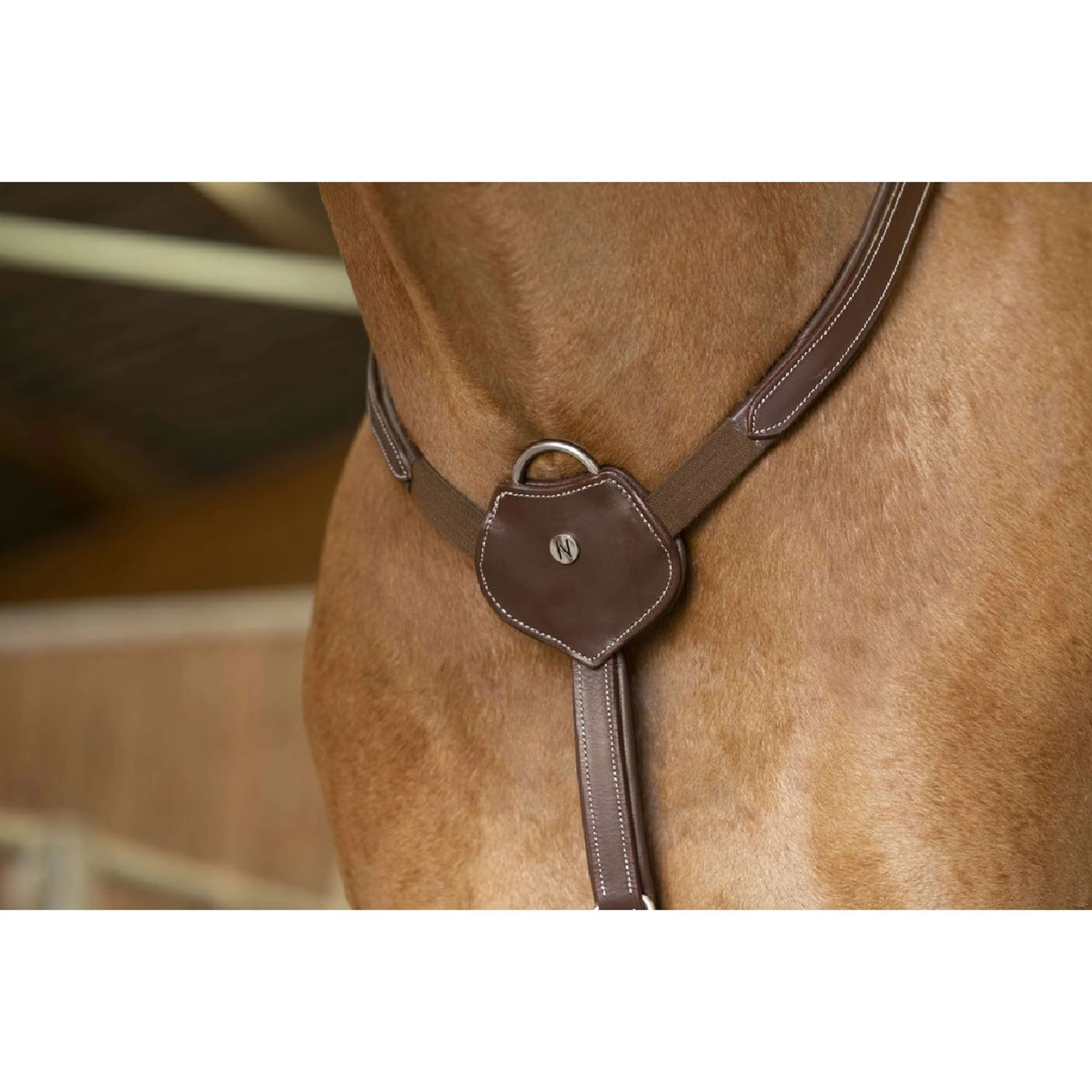 Norton Collier de Chasse Pro Confort Havane - Image 3