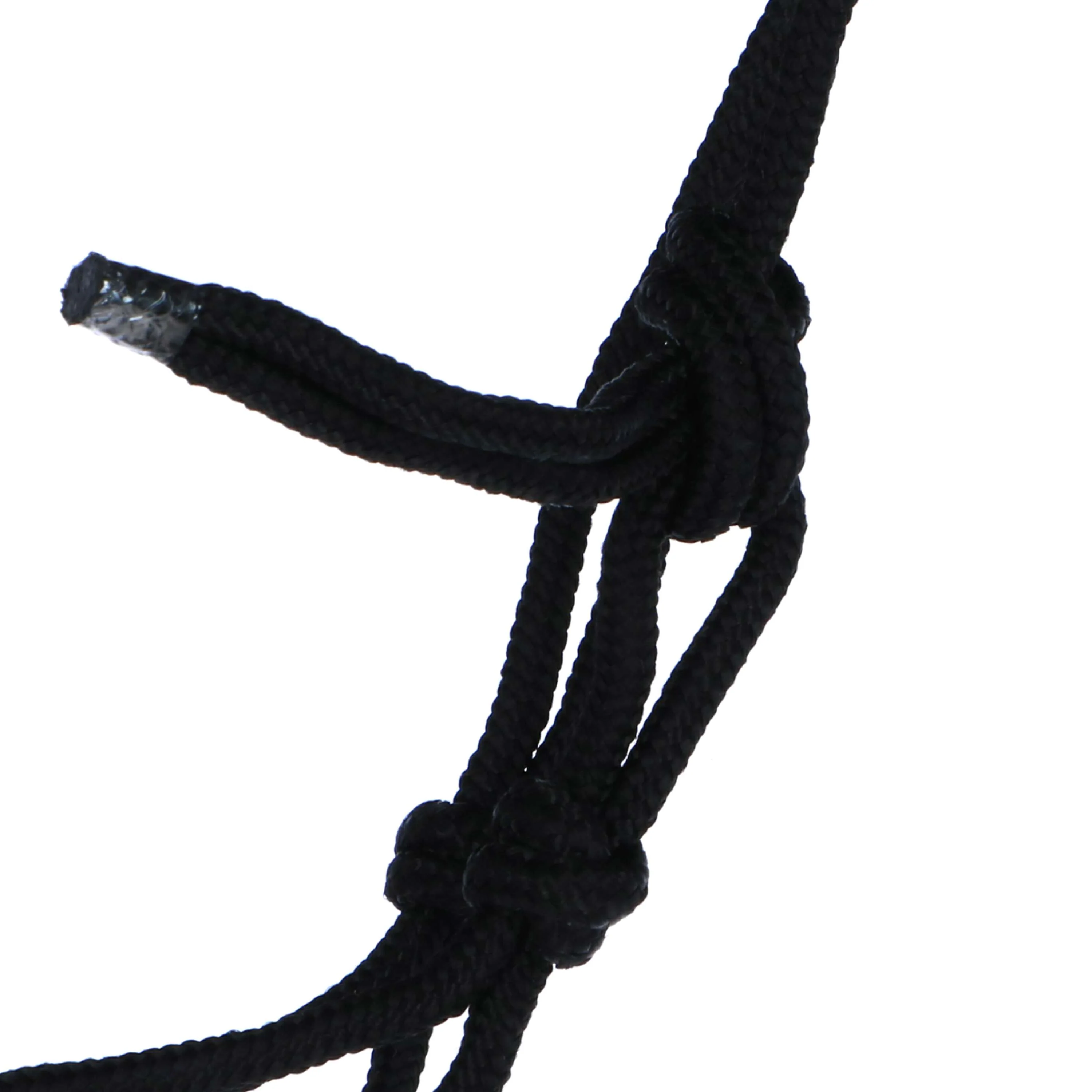 Norton Licol Doux Éthologique Noir - Image 2
