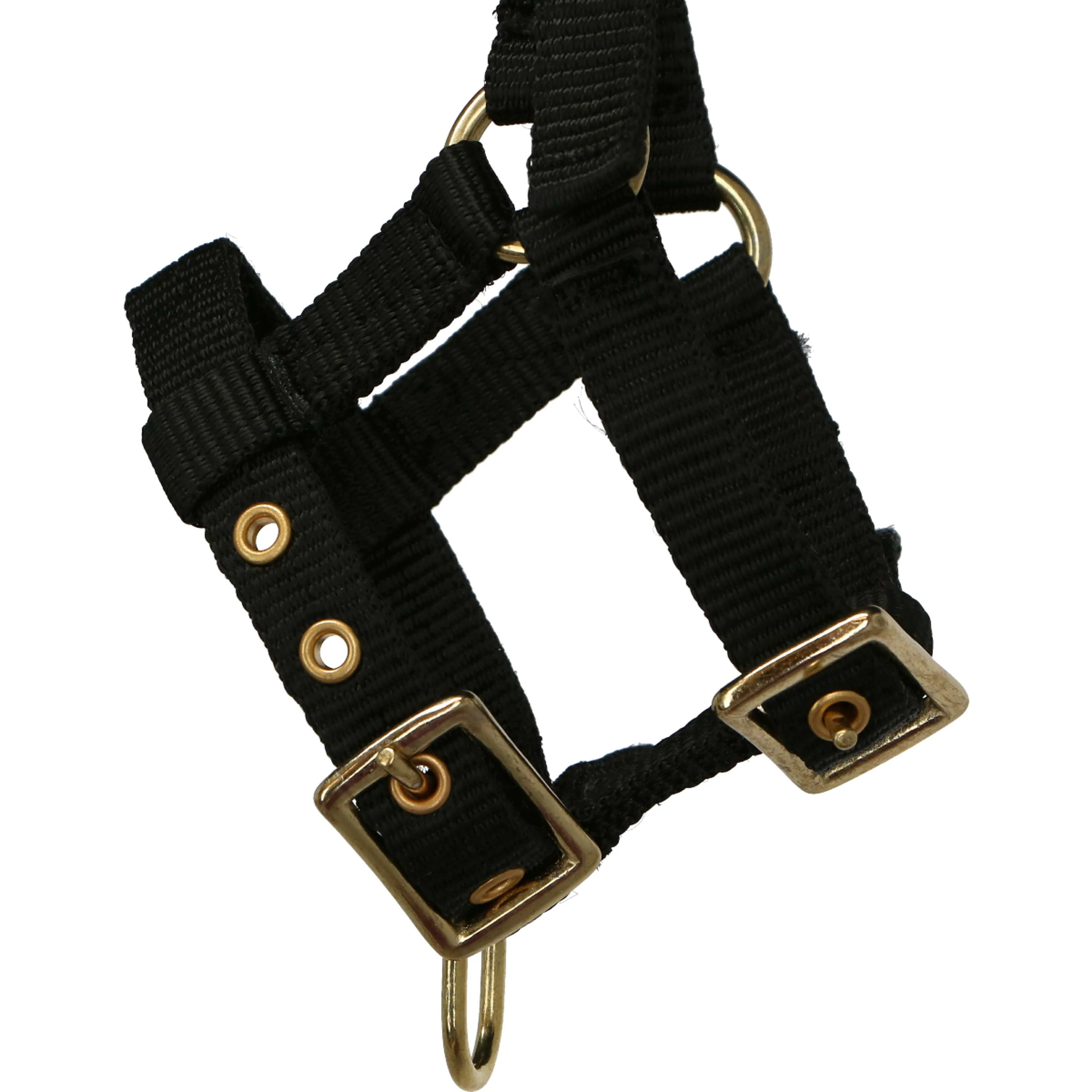 Norton Licol Mini Réglable Noir - Image 3