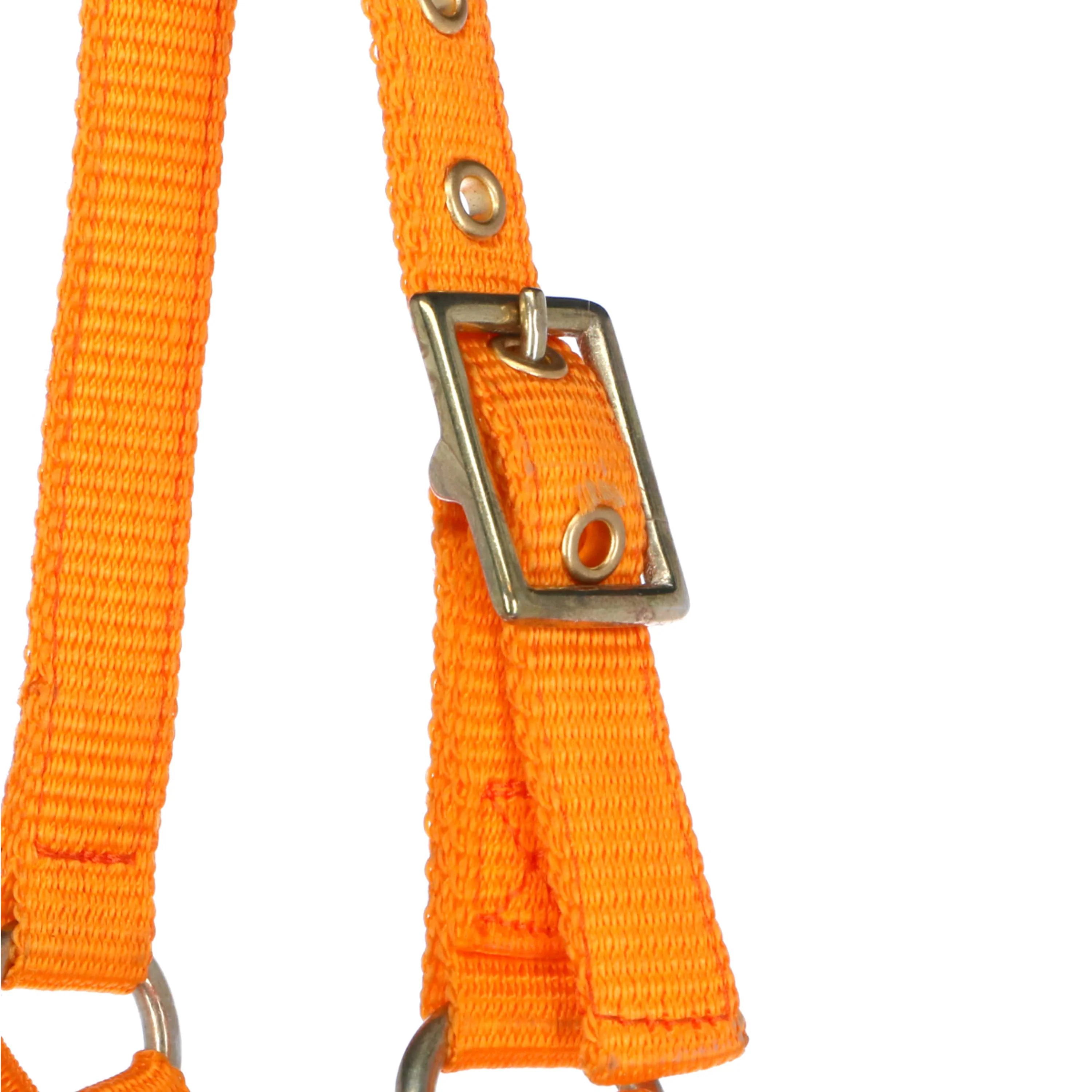 Norton Licol Mini Réglable Orange - Image 2