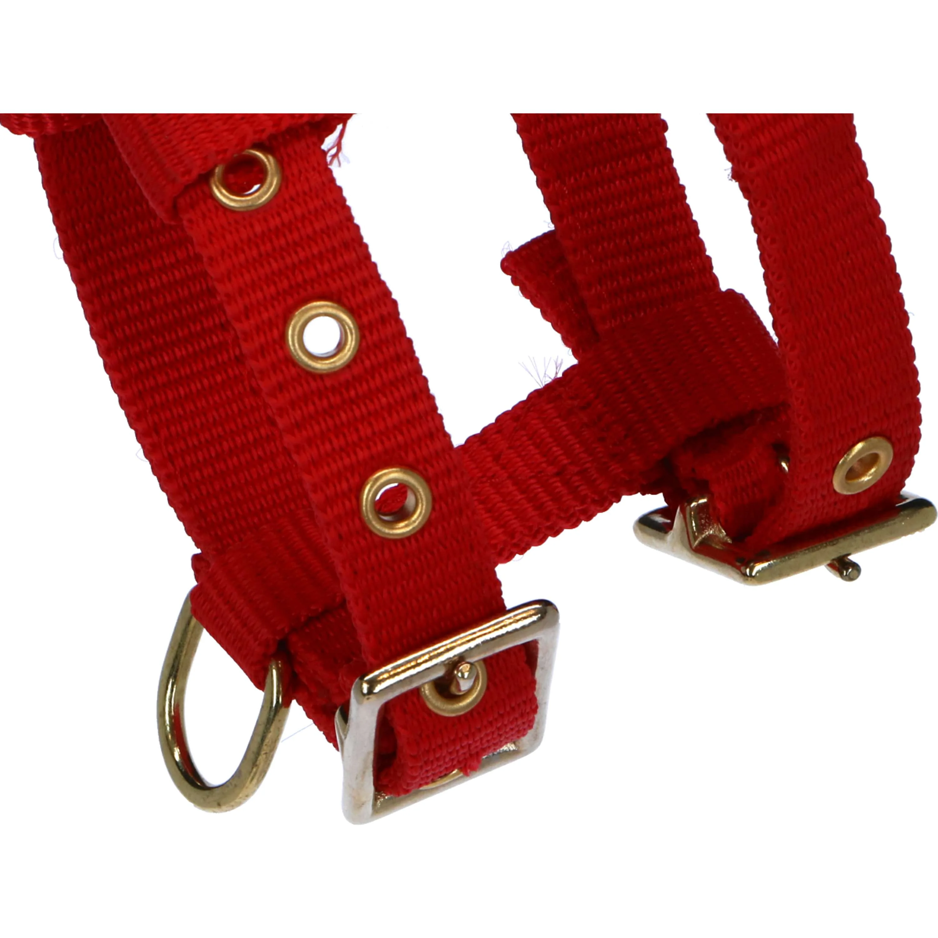 Norton Licol Mini Réglable Rouge - Image 3