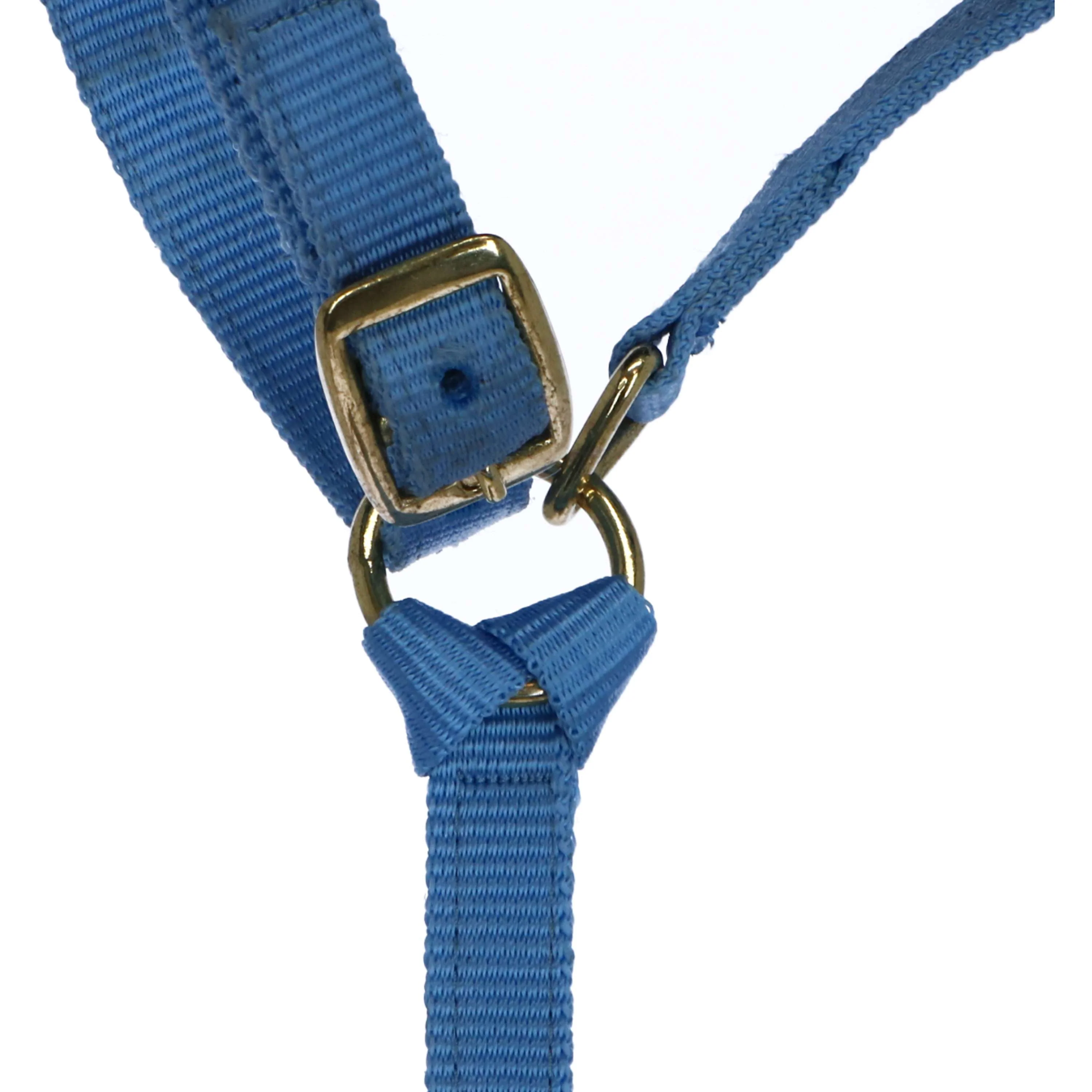 Norton Licol pour Poulain avec Ligne Bleu Clair - Image 3