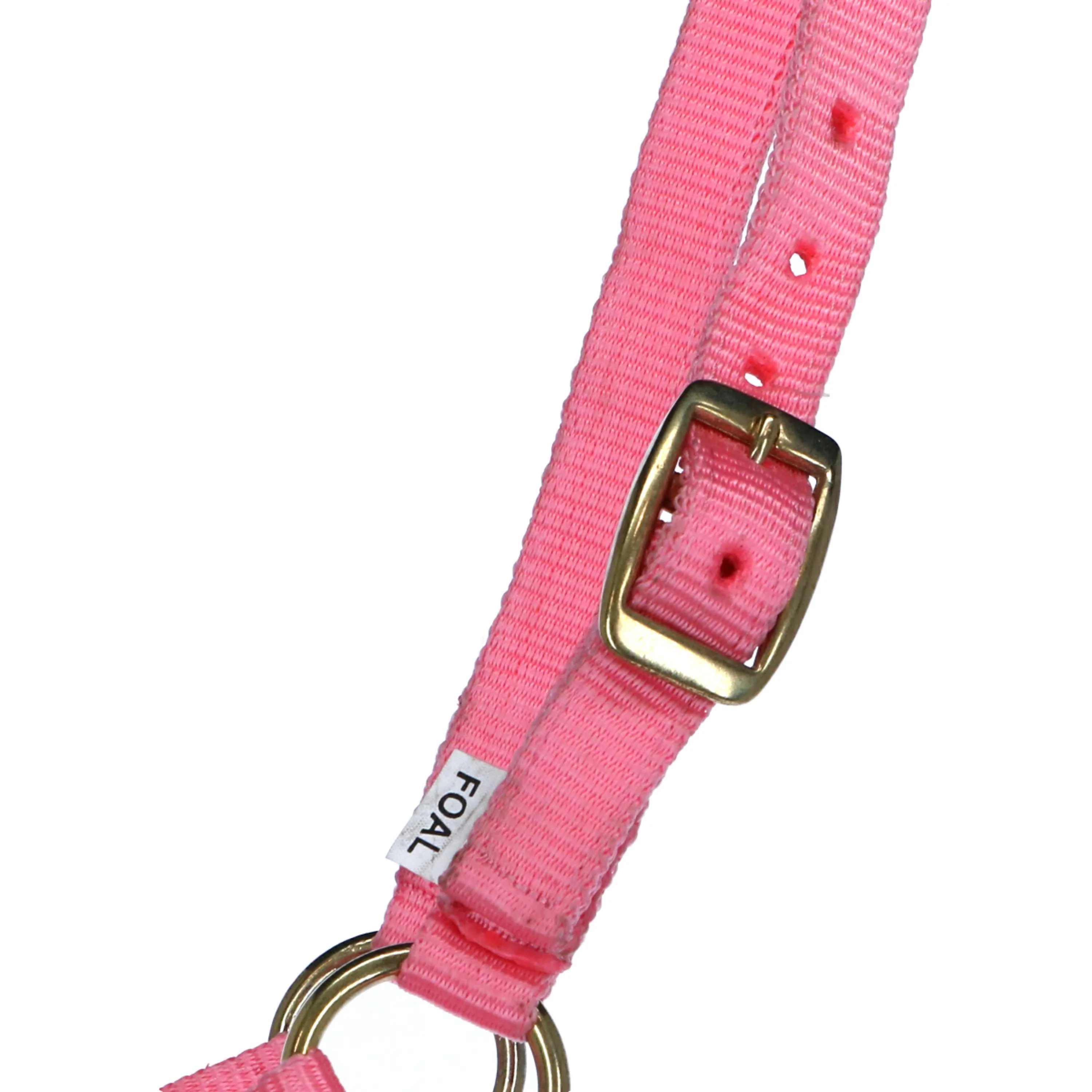 Norton Licol pour Poulain avec Ligne Rose - Image 2