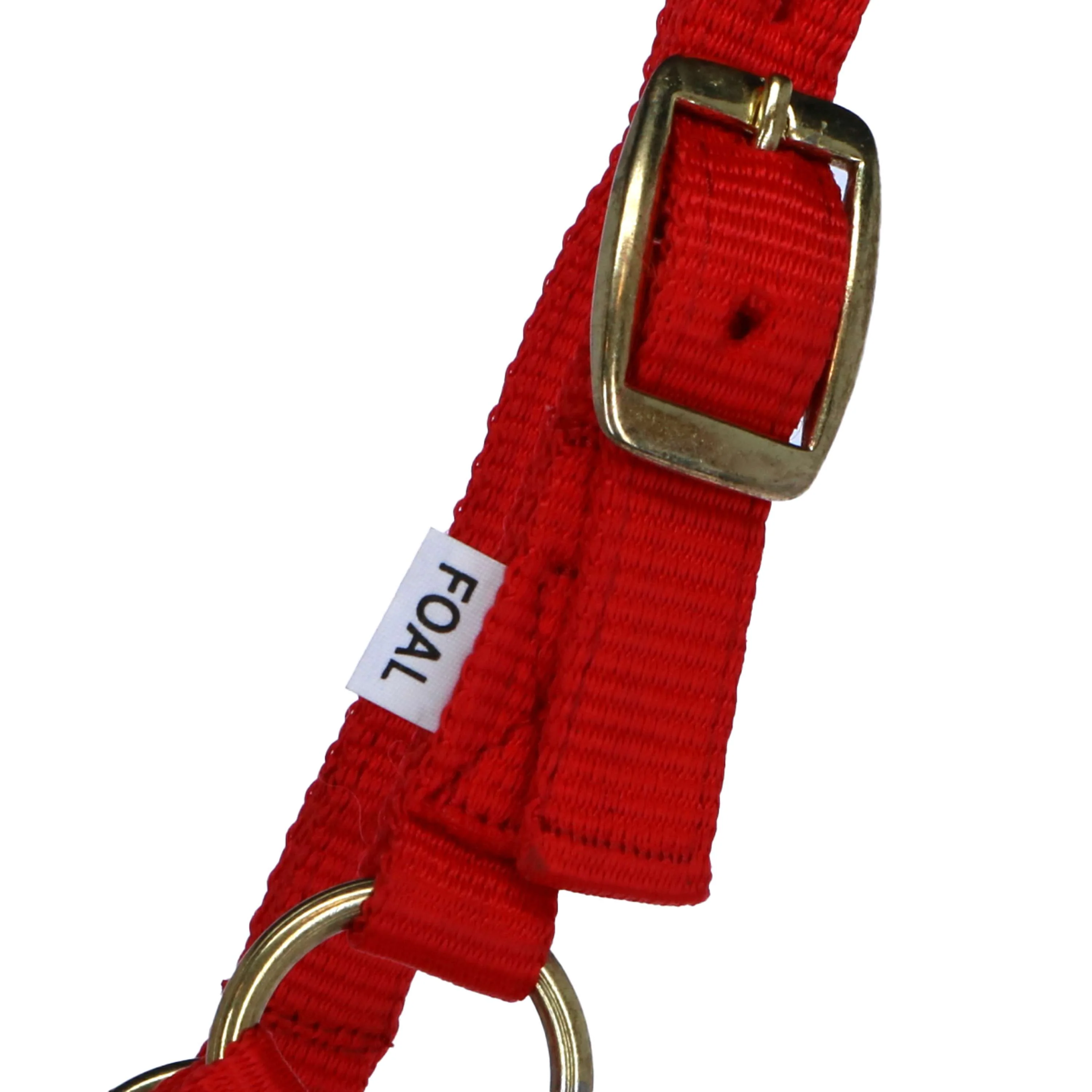 Norton Licol pour Poulain avec Ligne Rouge - Image 2
