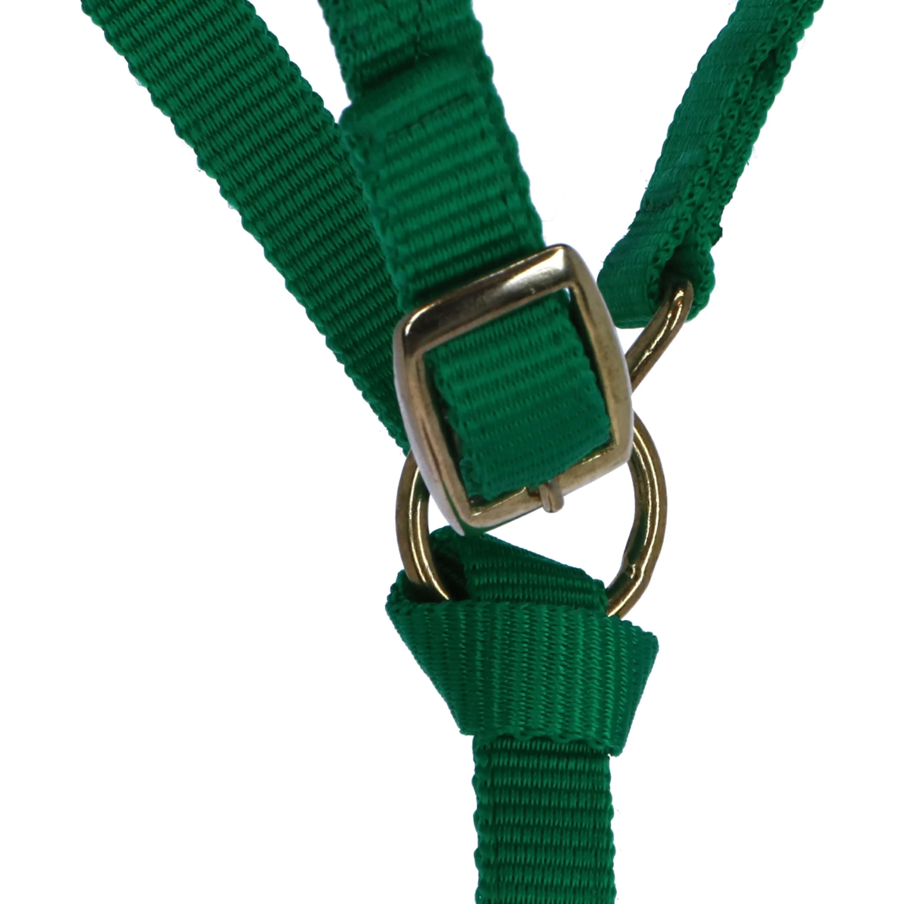 Norton Licol pour Poulain avec Ligne Vert clair - Image 3