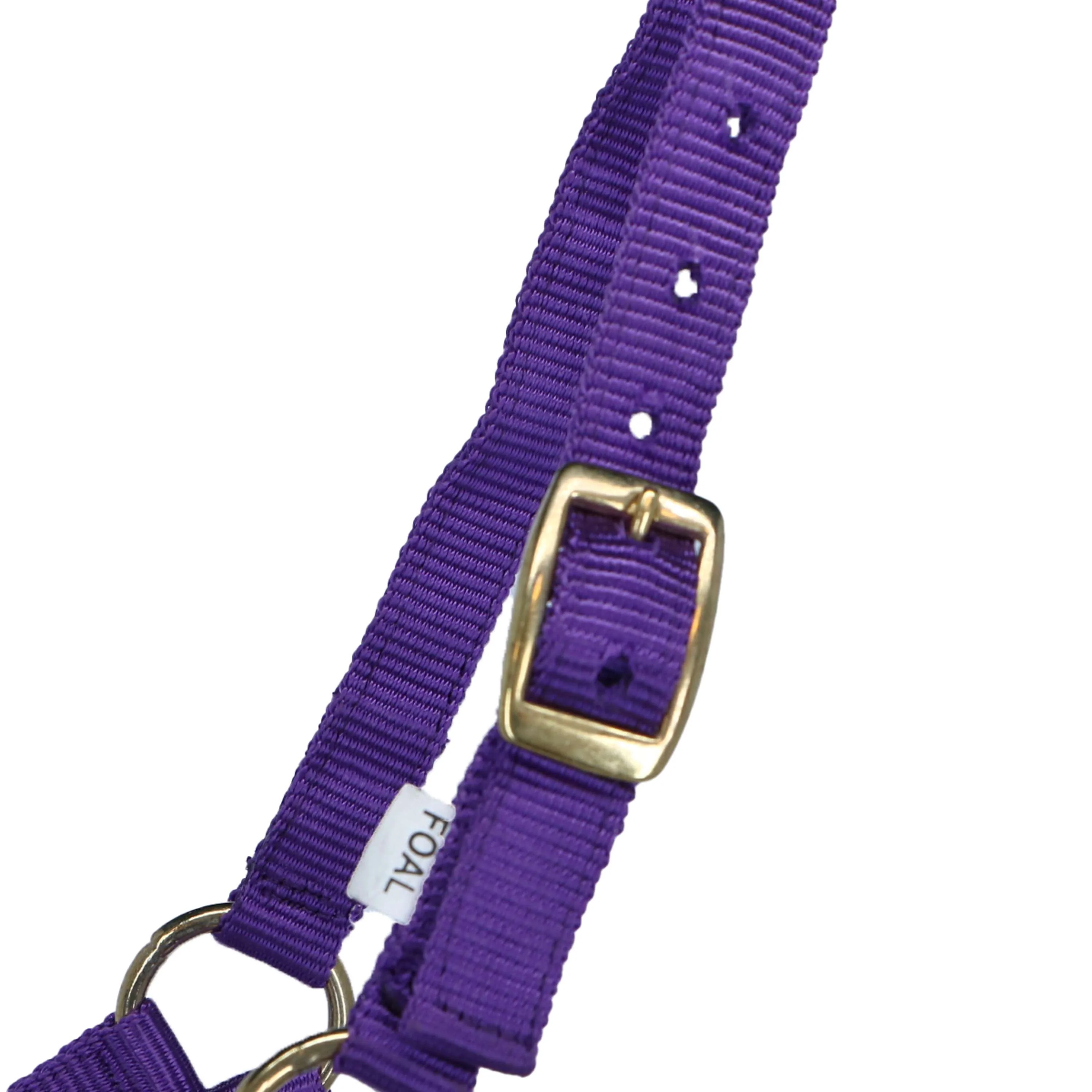 Norton Licol pour Poulain avec Ligne Violet - Image 2