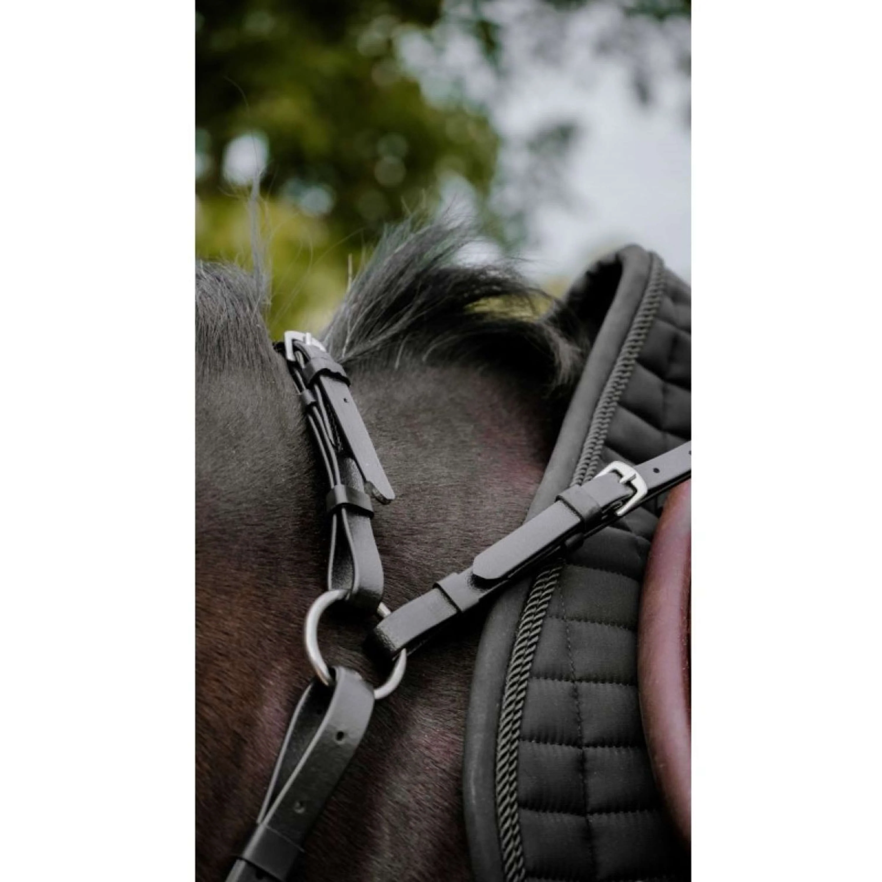 Norton Martingale Endurance Noir - Image 2