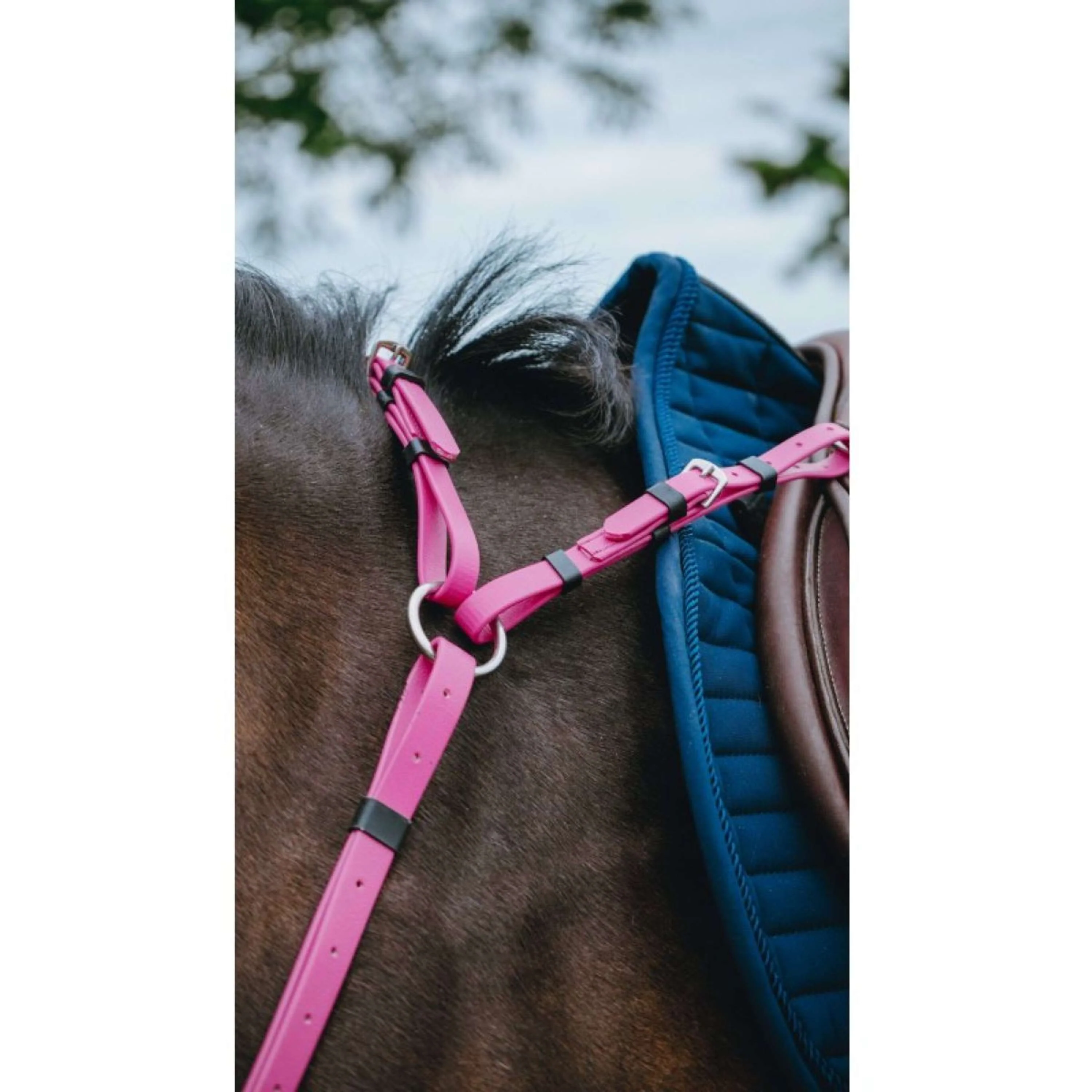 Norton Martingale Endurance Rose - Image 2