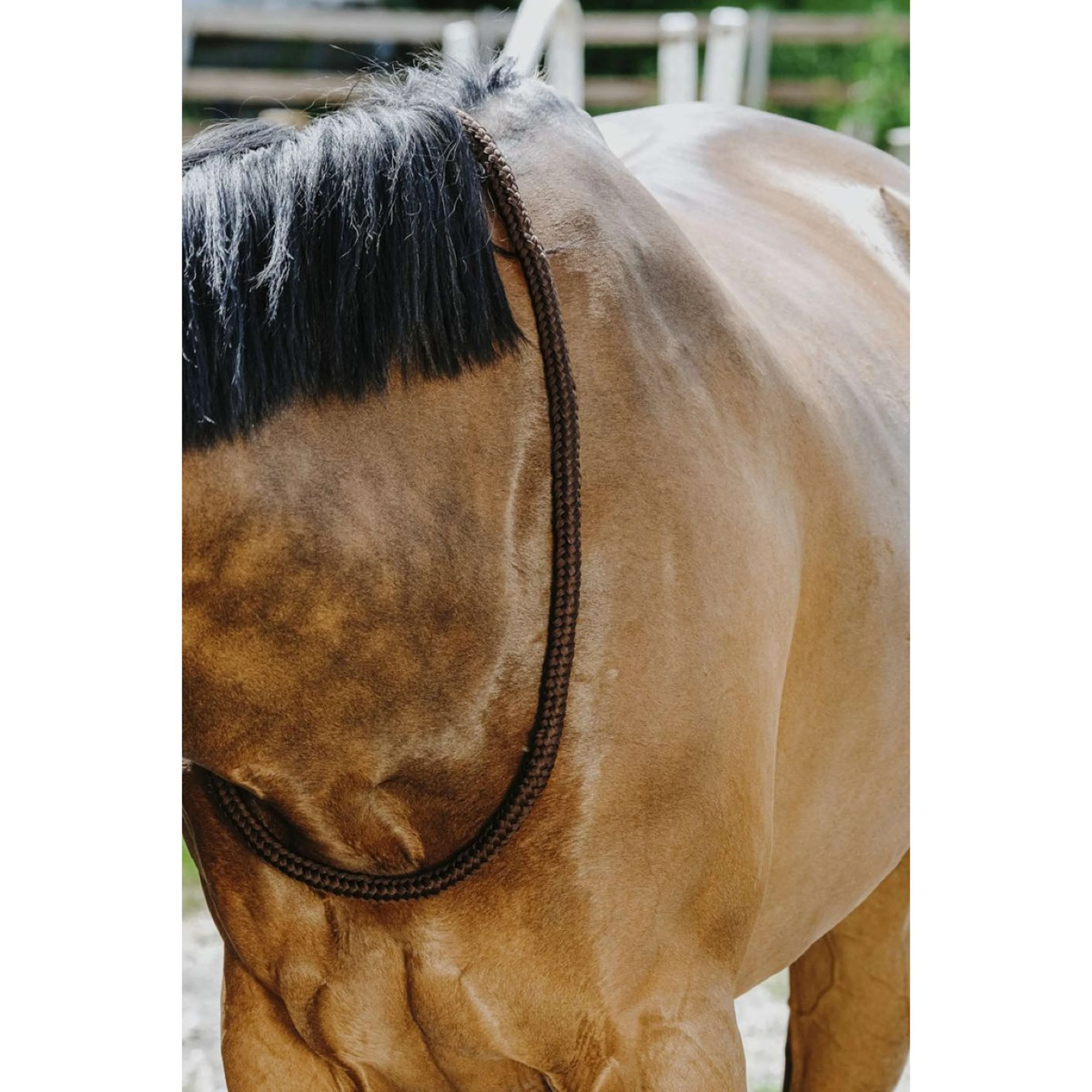 Norton Neckrope Marron - Image 3