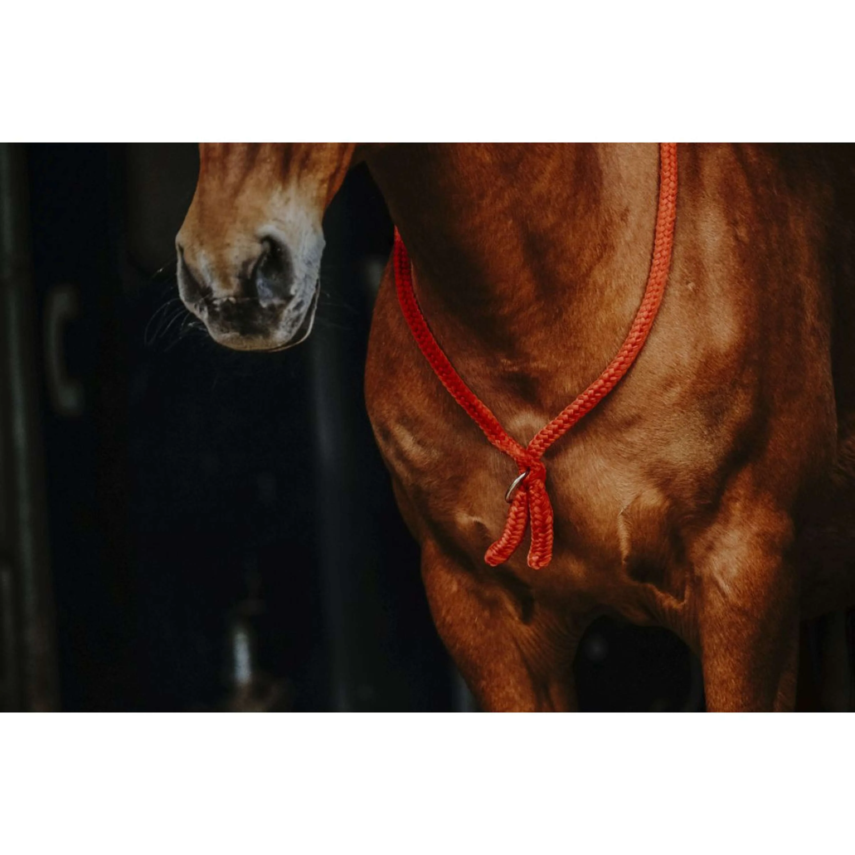 Norton Neckrope Rouge - Image 3