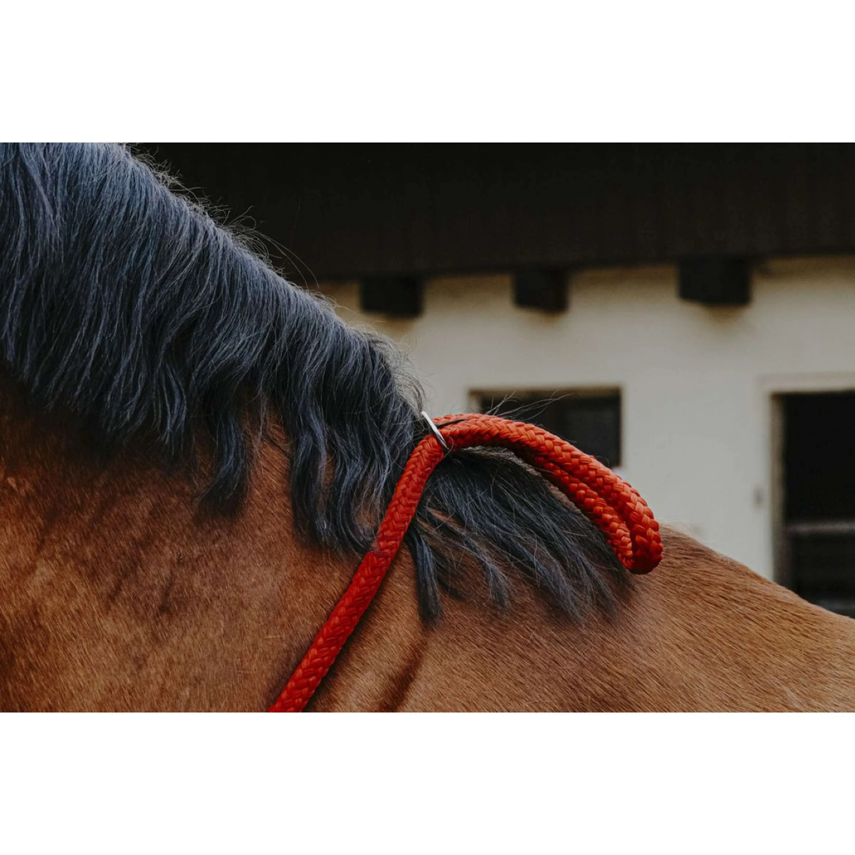 Norton Neckrope Rouge - Image 5