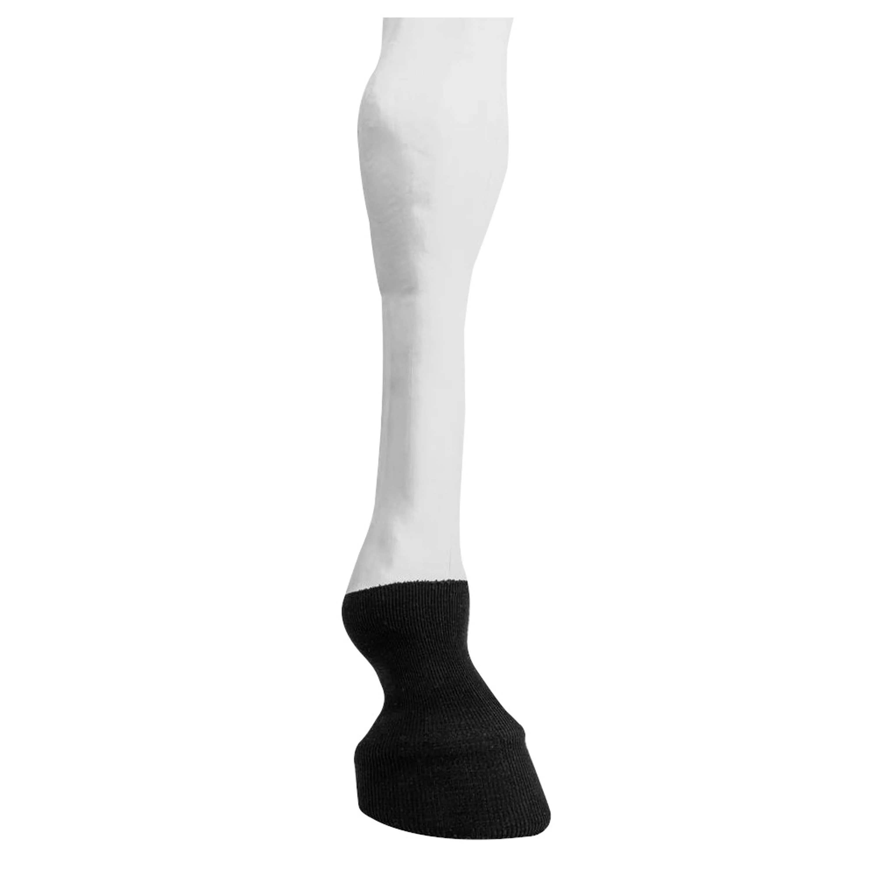 One Equestrian Bandage Tendon Tube Blanc - Image 5