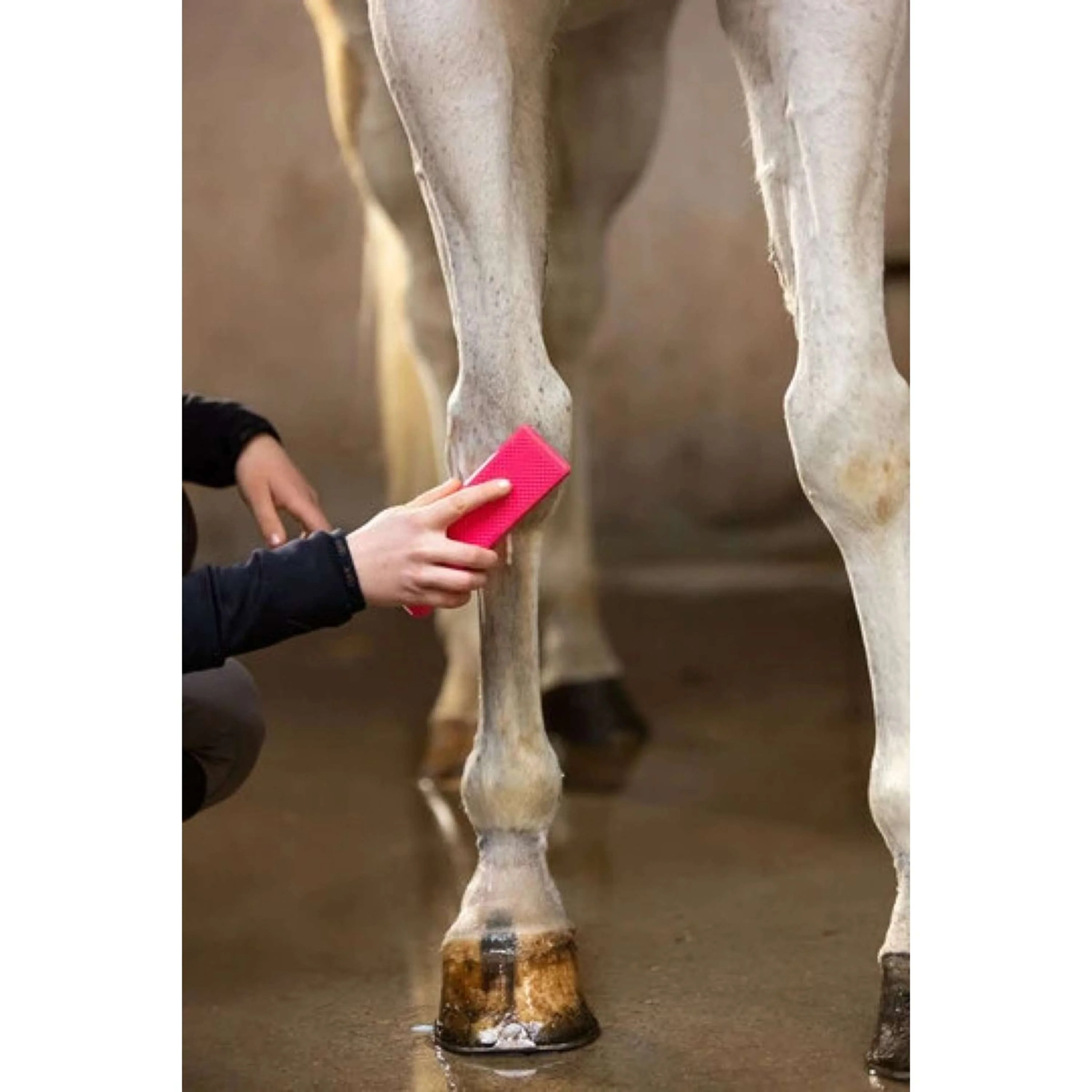 Paardenpraat Brosse de Pansage Rose - Image 3