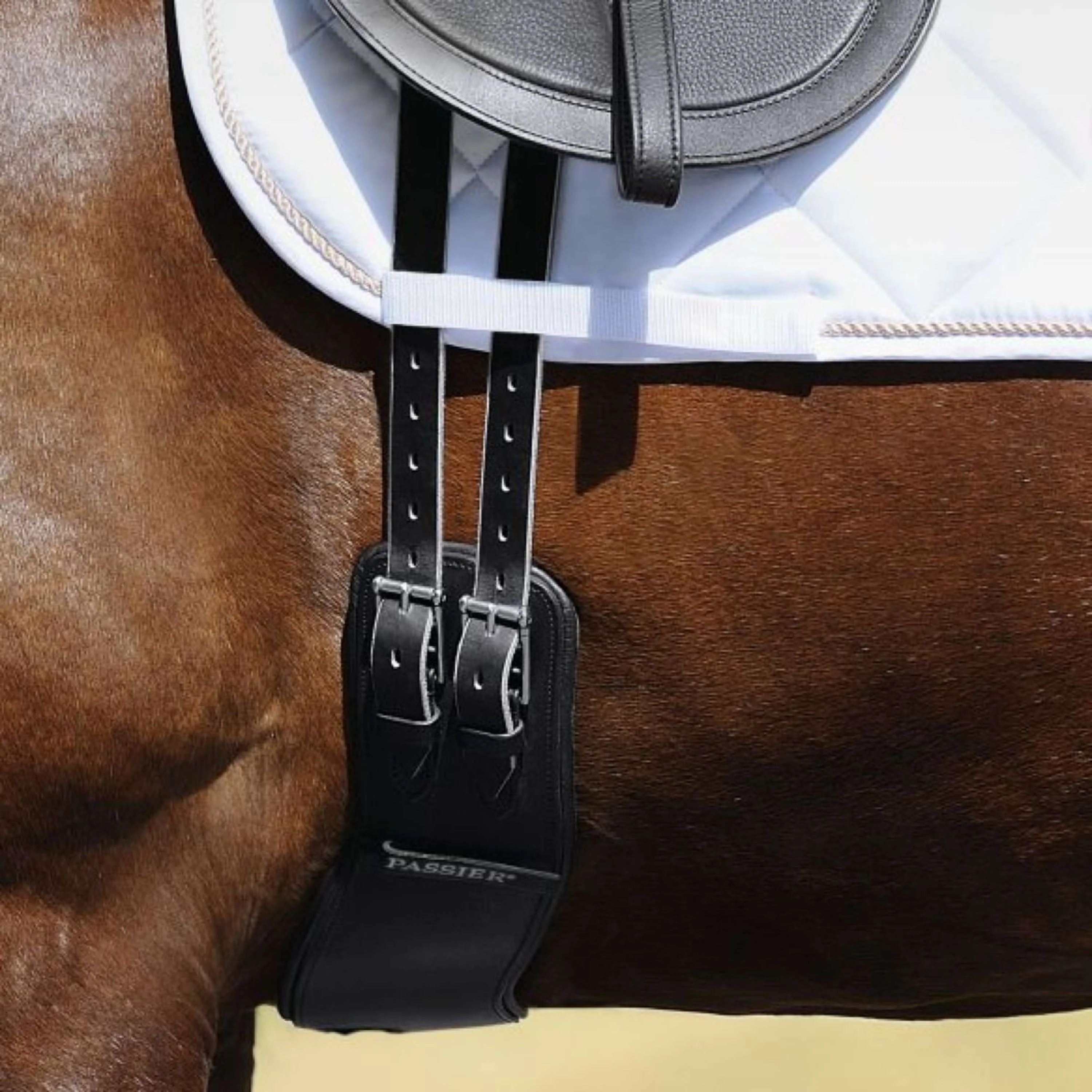 Passier Sangle Dressage Noir - Image 6