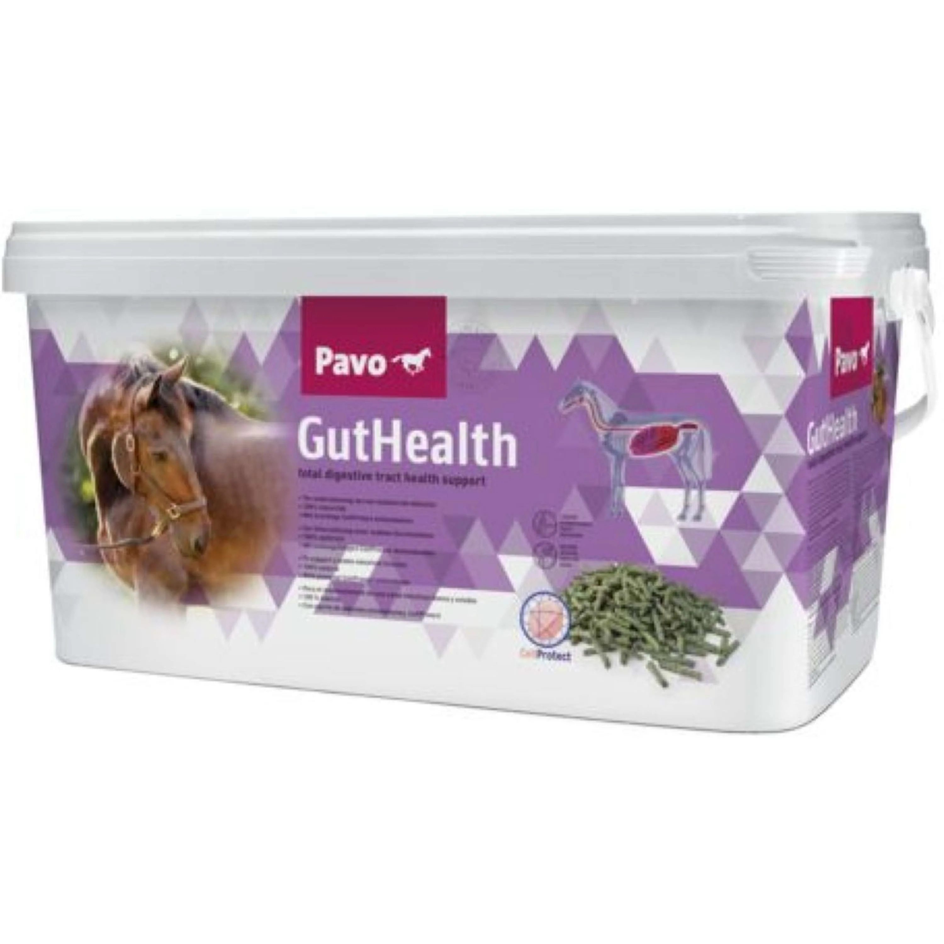 Pavo GutHealth - Image 2