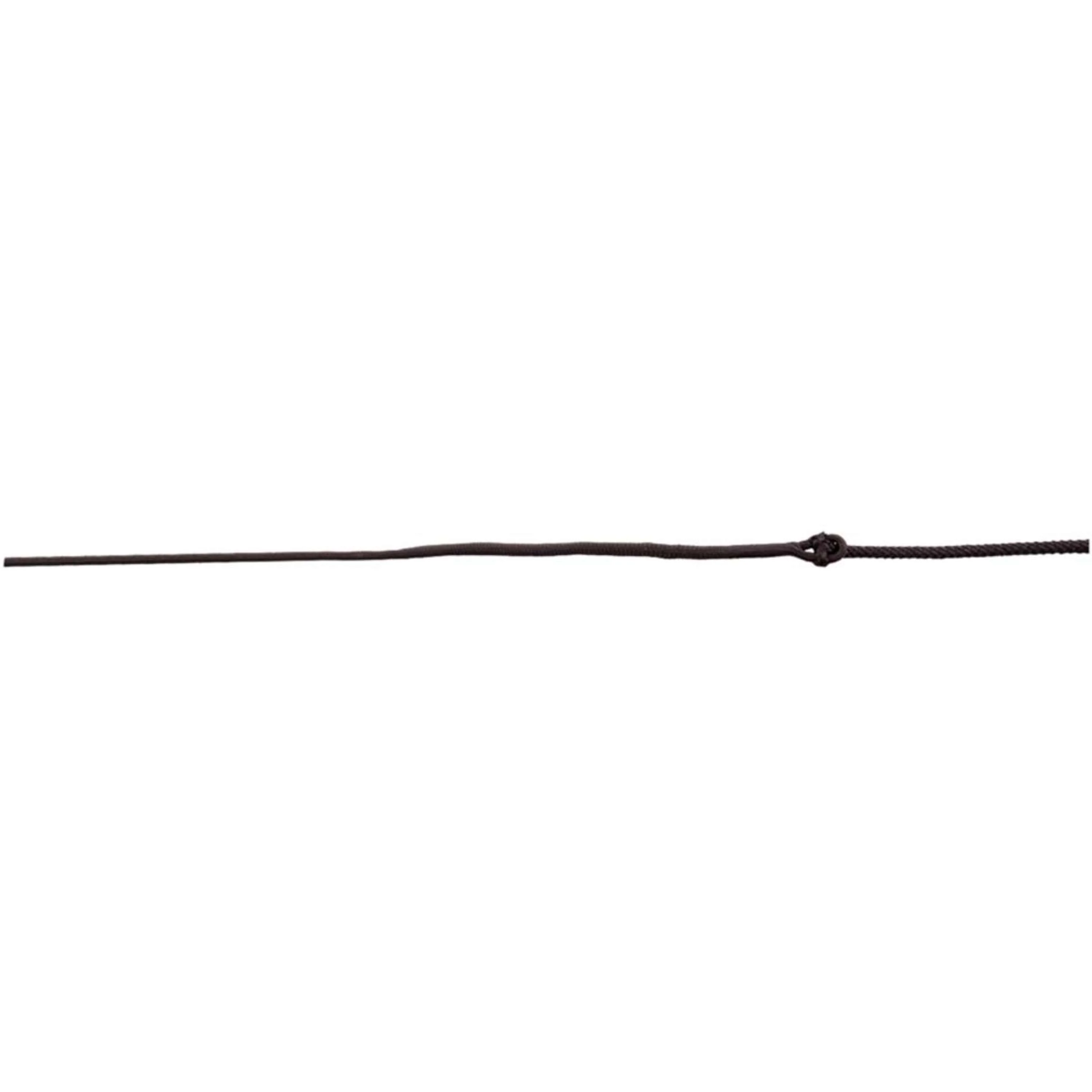 Premiere Chambrière de Longe Deimos Carbon Grip Nylon - Image 2