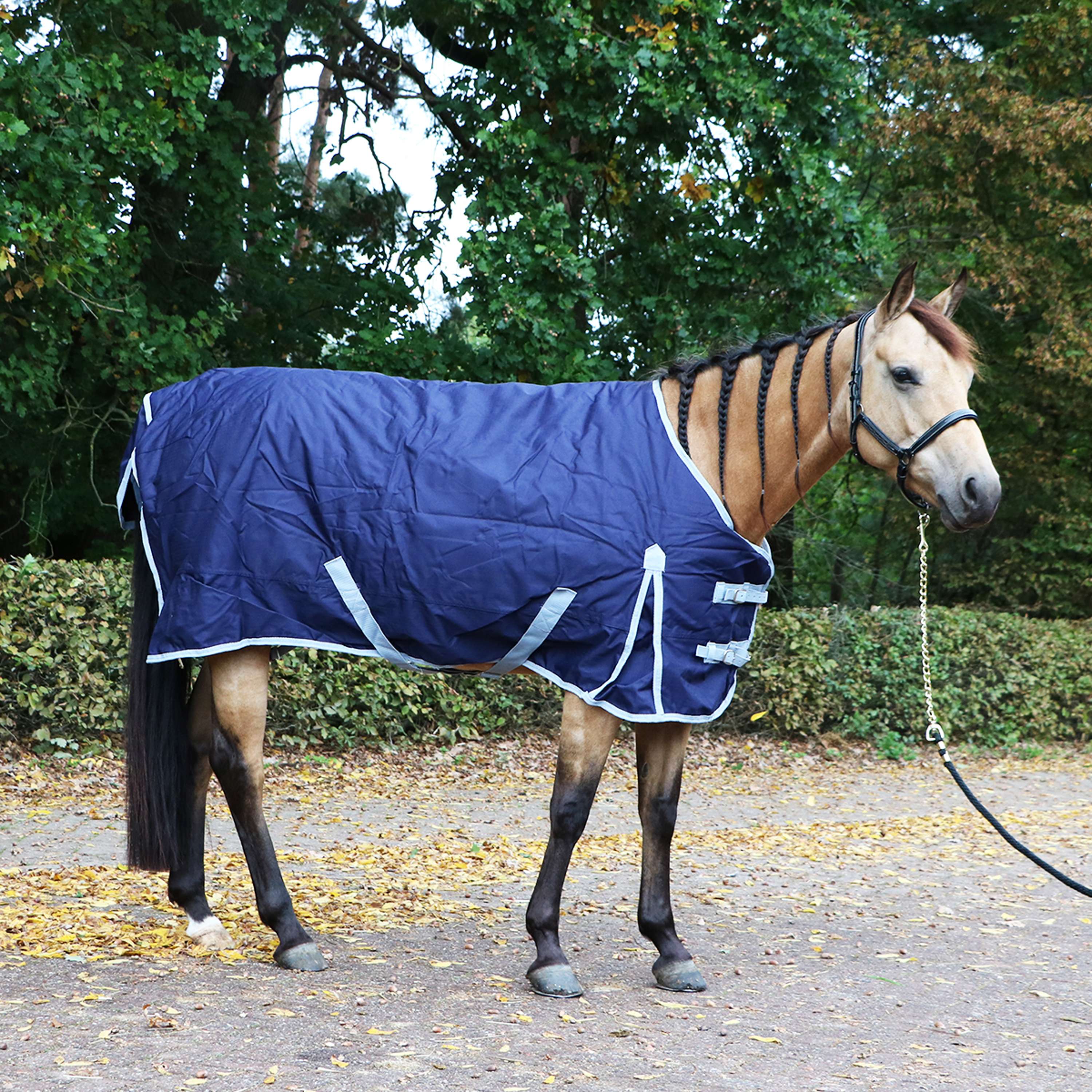 Premiere Couverture d'Extérieur All Year 300g Dress Blue - Image 10