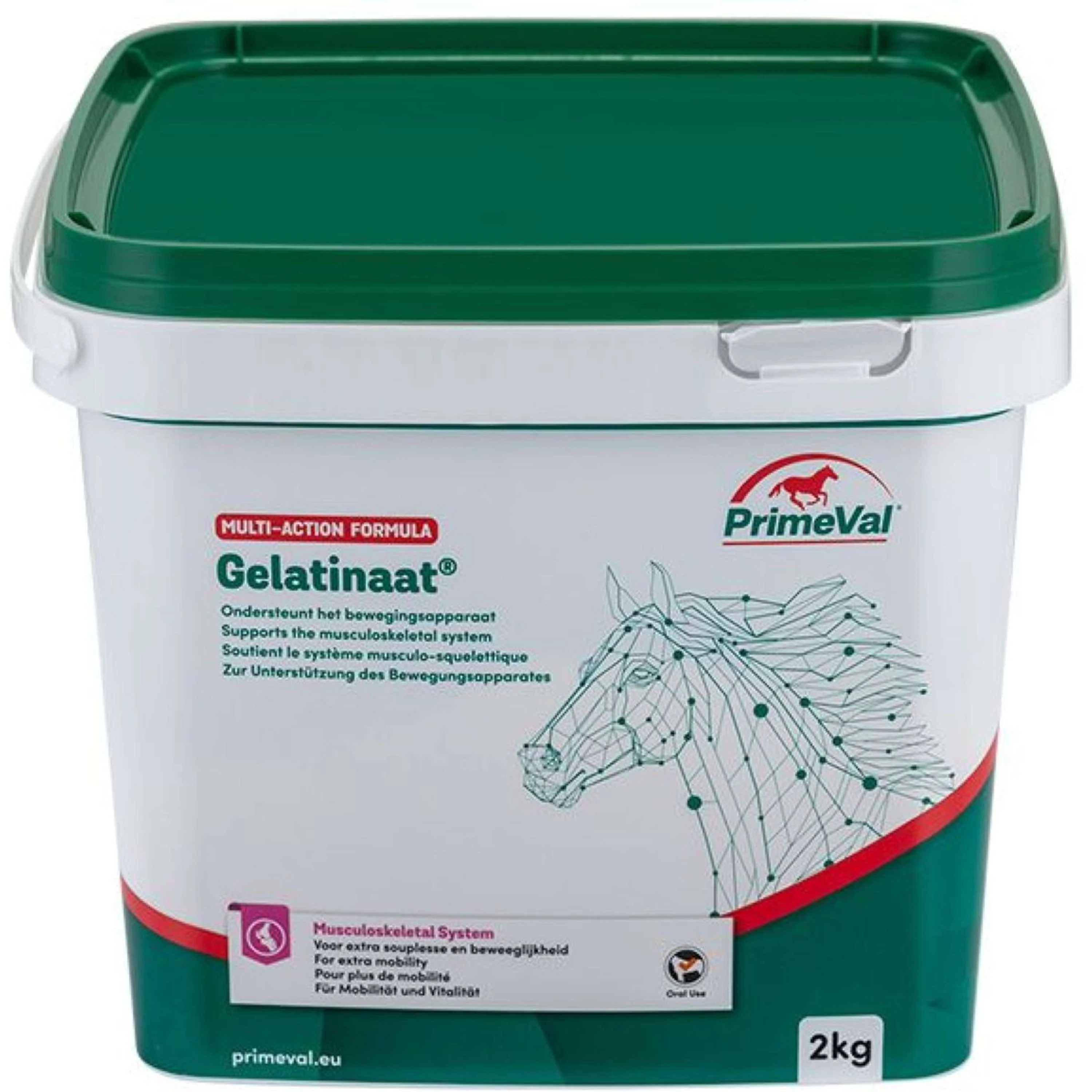 Primeval Gelatinate Cheval - Image 2