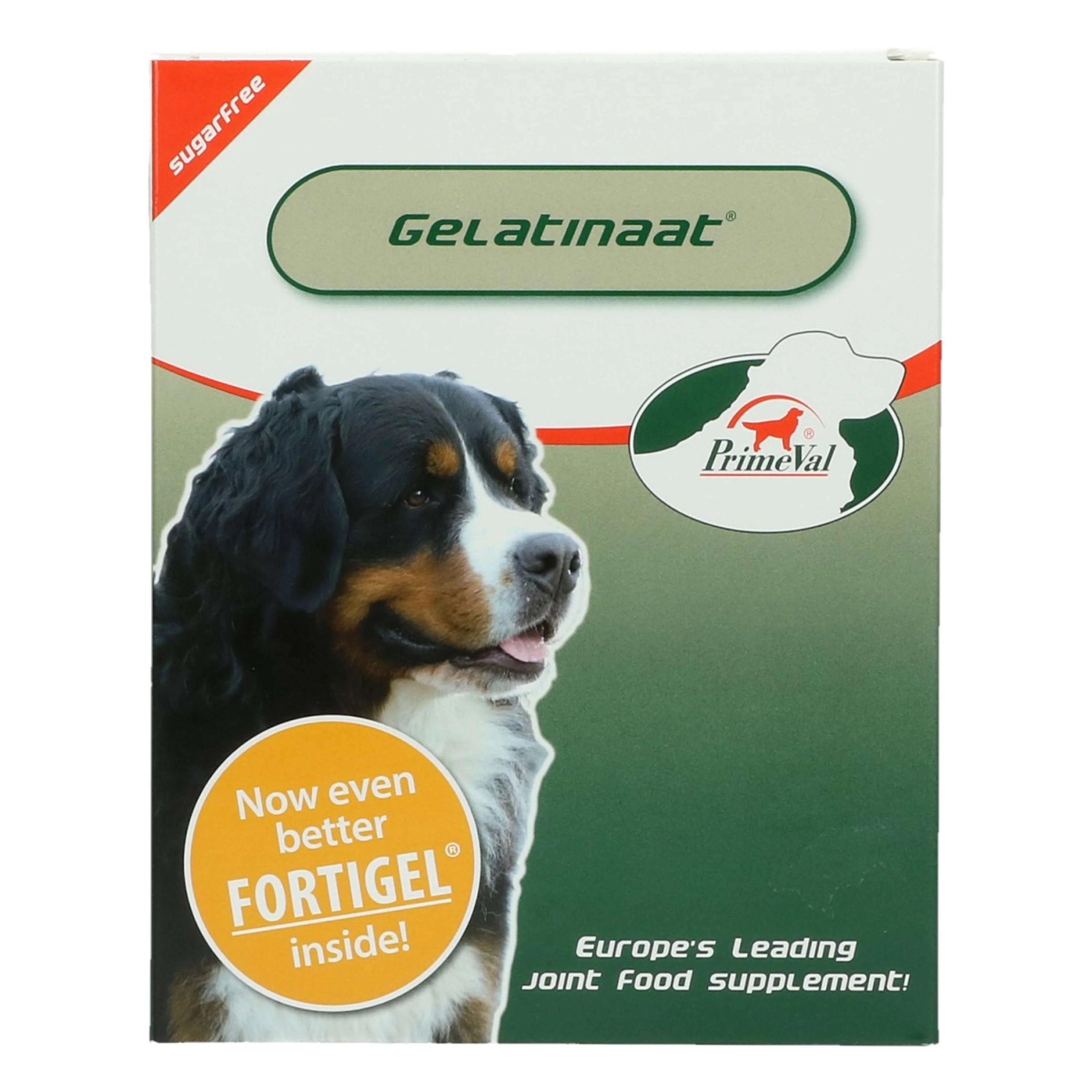Primeval Gelatinate Chien - Image 3
