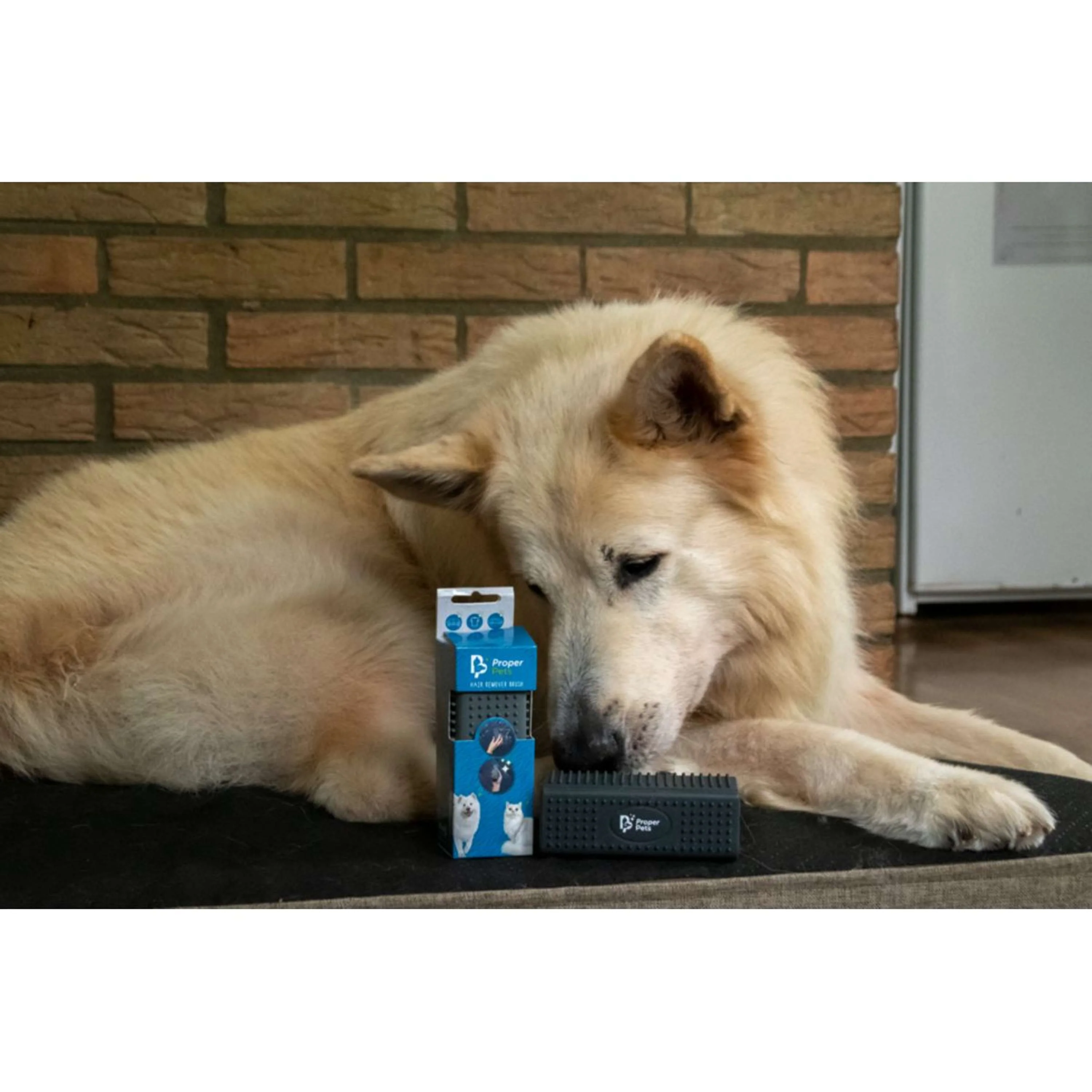 Proper Pets Épilateur - Image 3
