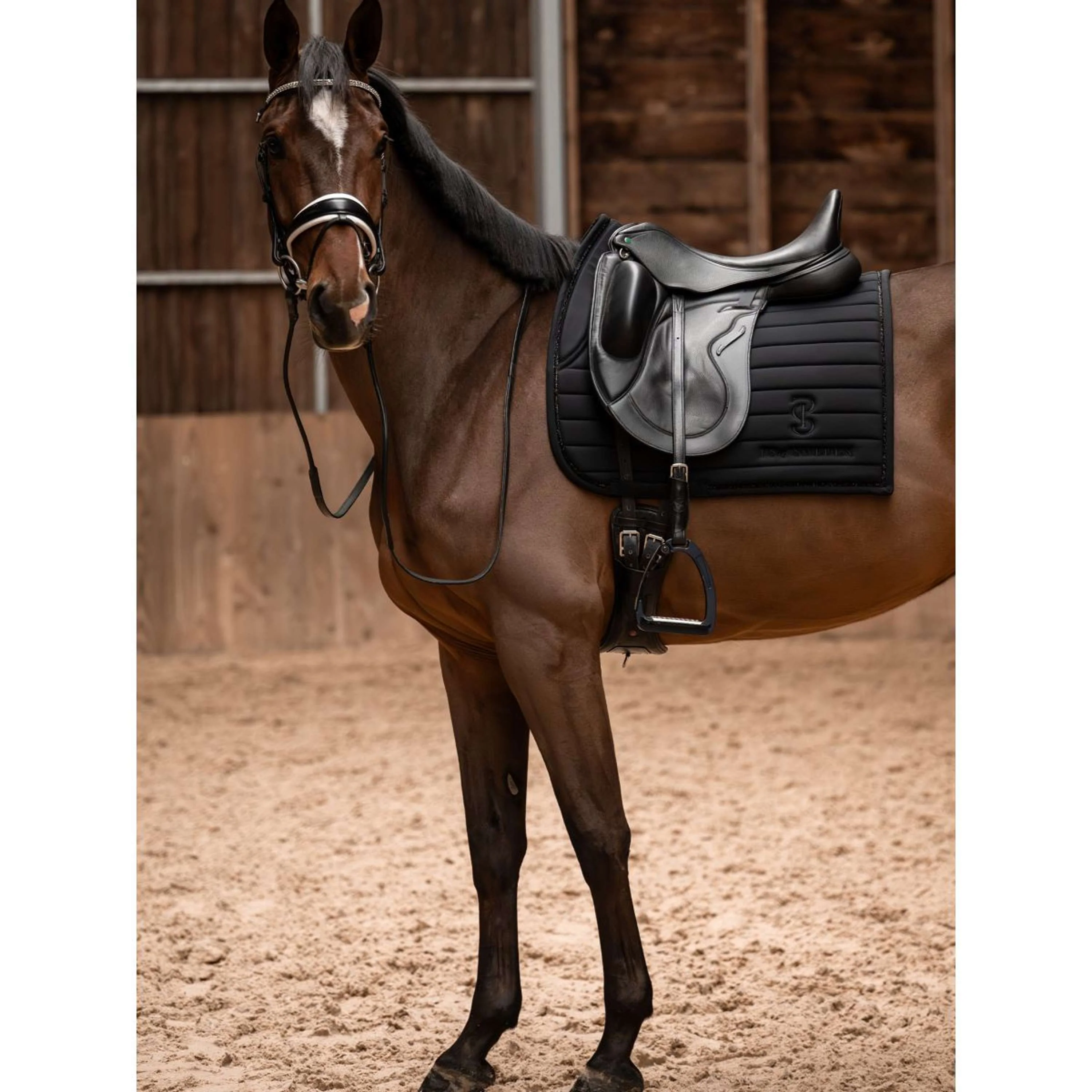 PS of Sweden Tapis de Selle Stripe Dressage Noir - Image 4