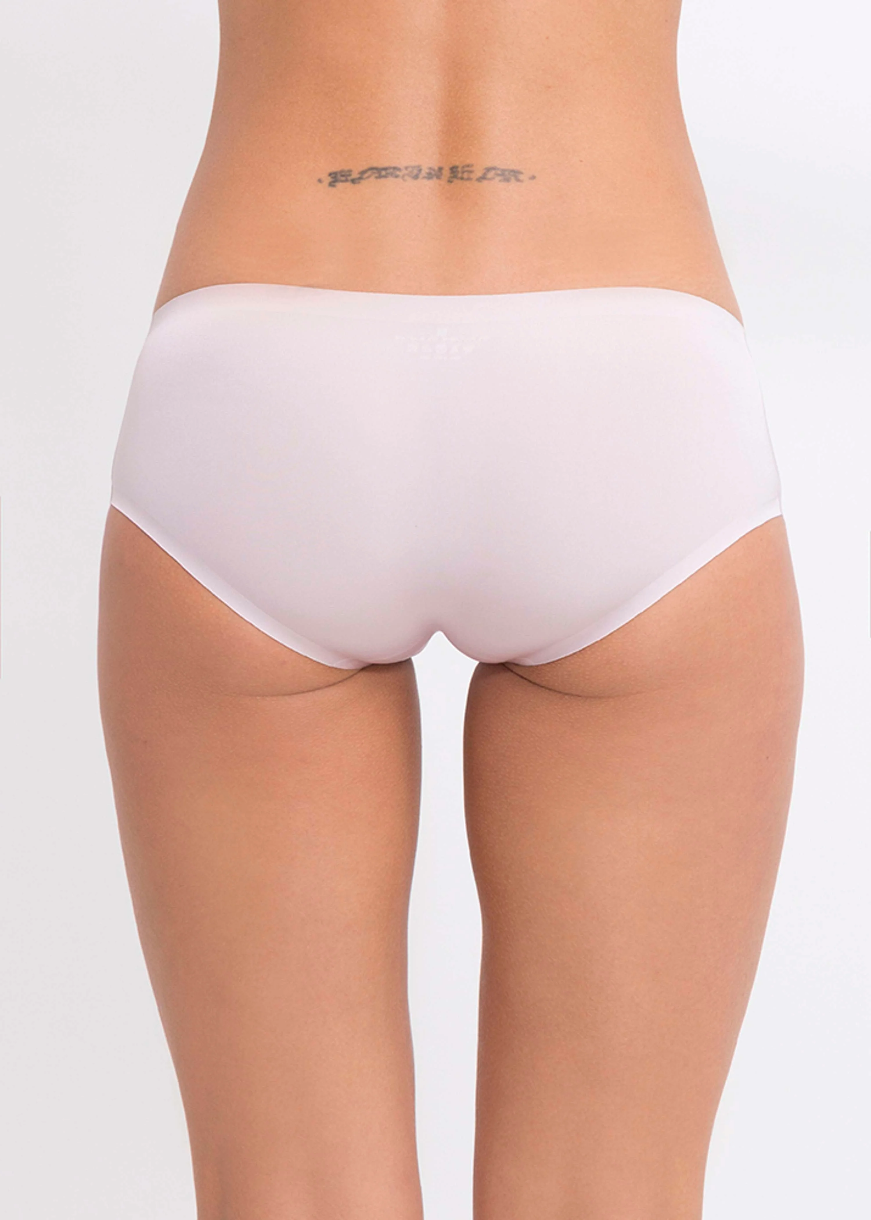 Q Linn Boxer Violet - Image 2