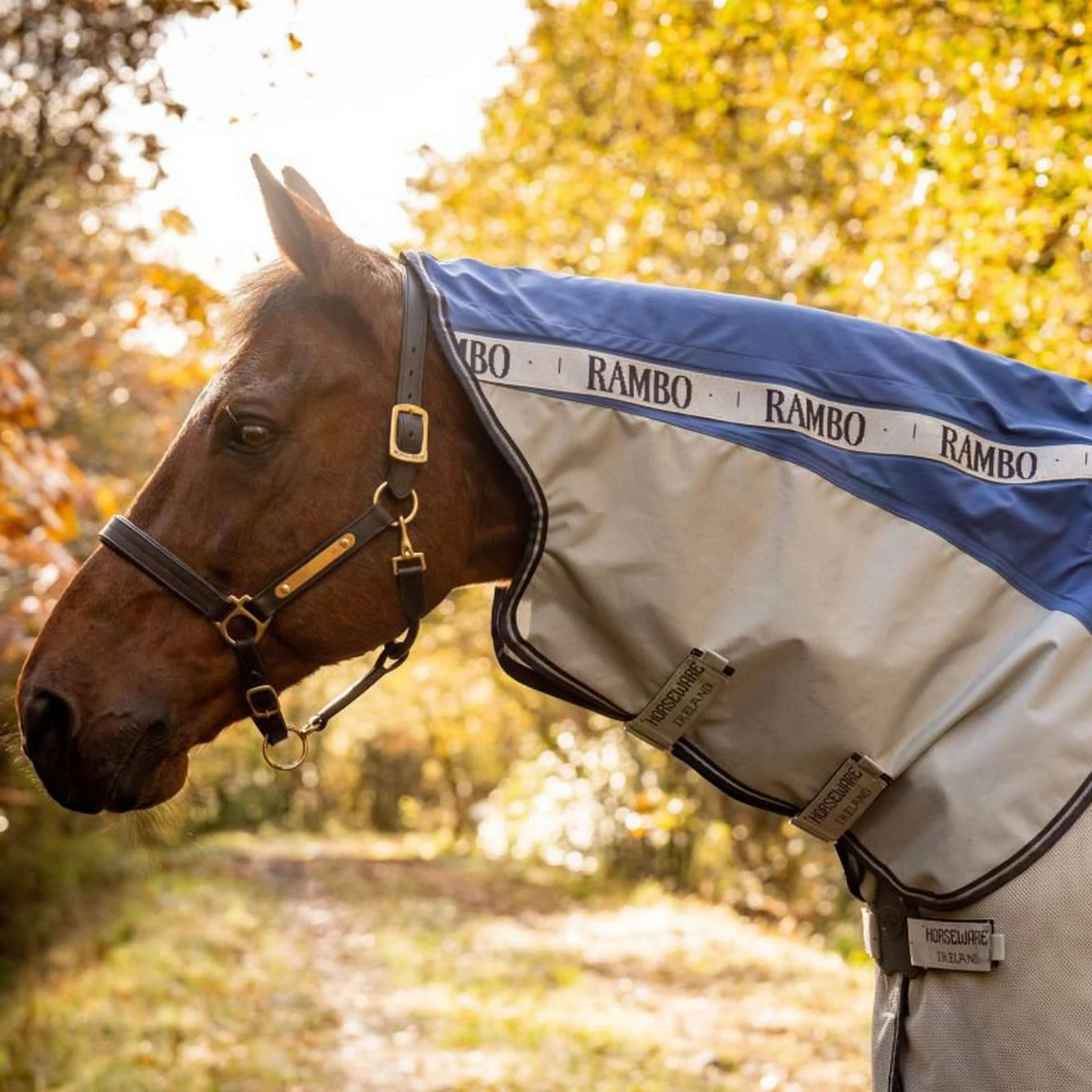 Rambo Autumn Series Turnout Marine/Gris Dots - Image 3