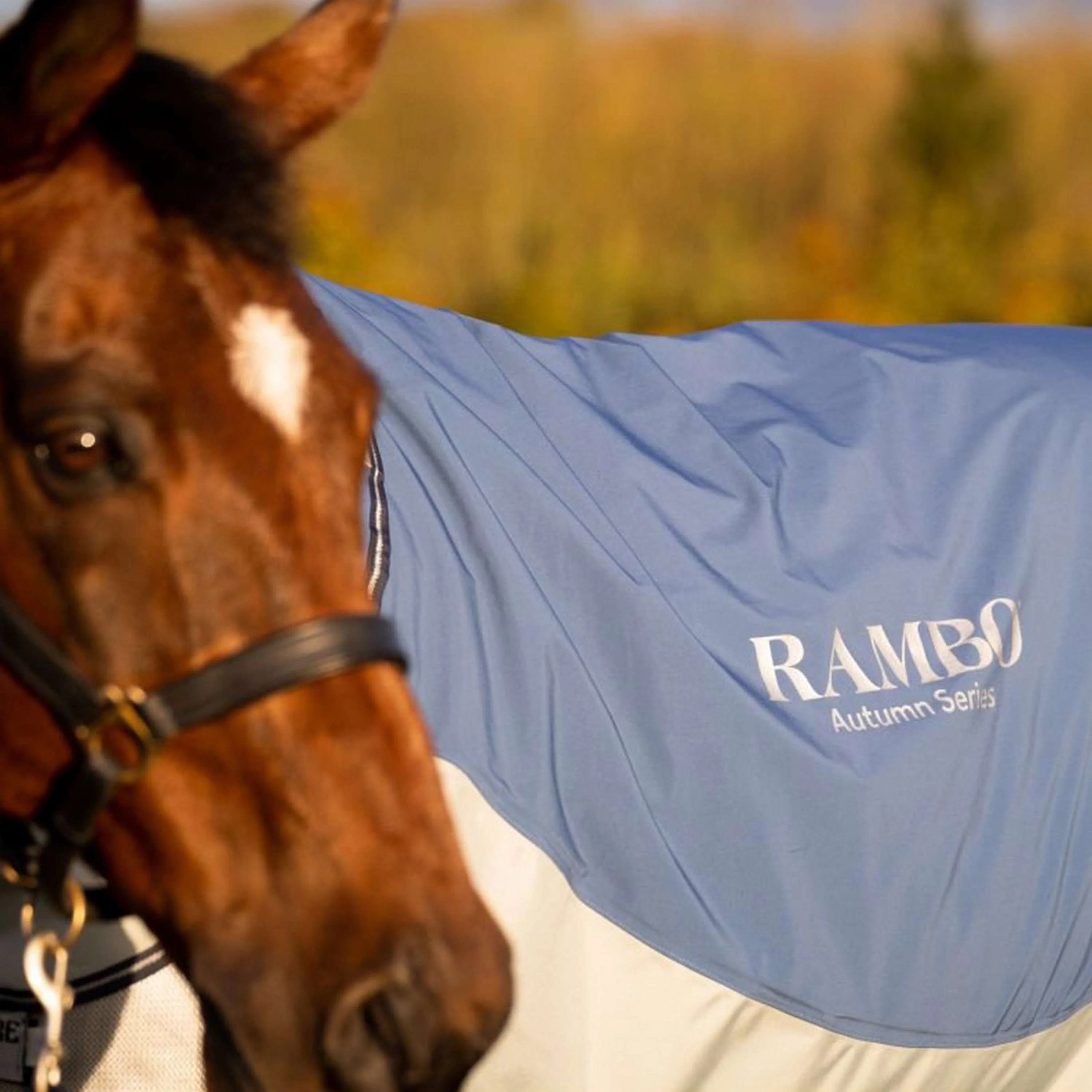 Rambo Autumn Series Turnout Marine/Gris Dots - Image 7