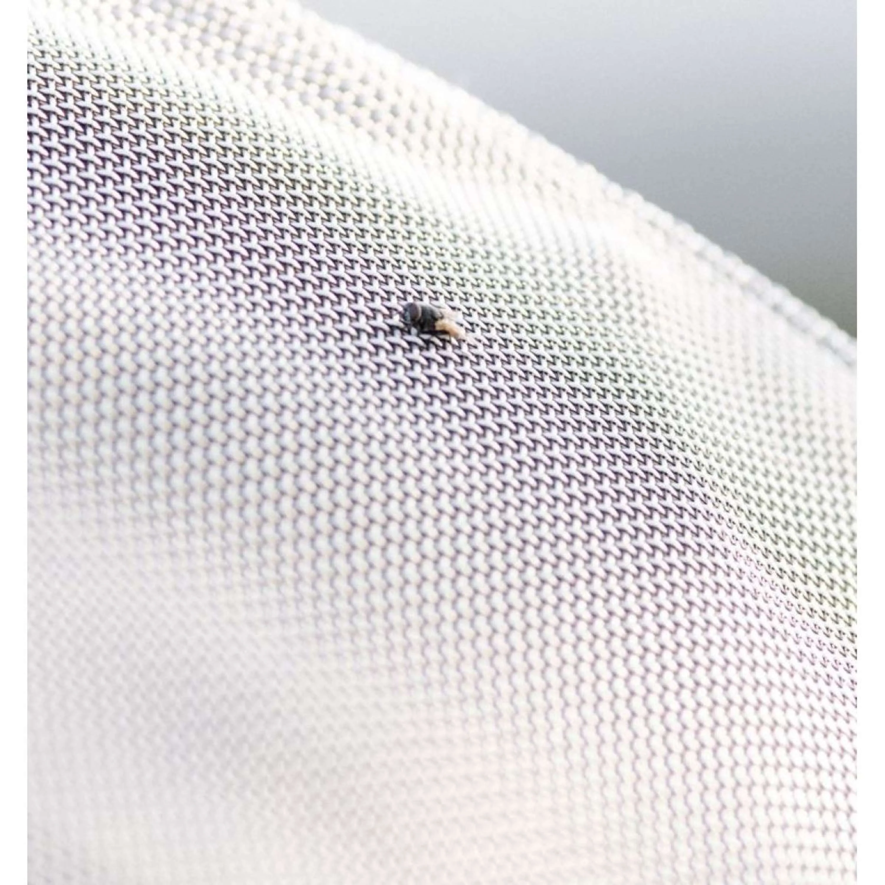 Rambo Protecteur Fieldsafe Argent/Marine/Blanc/Beige - Image 7