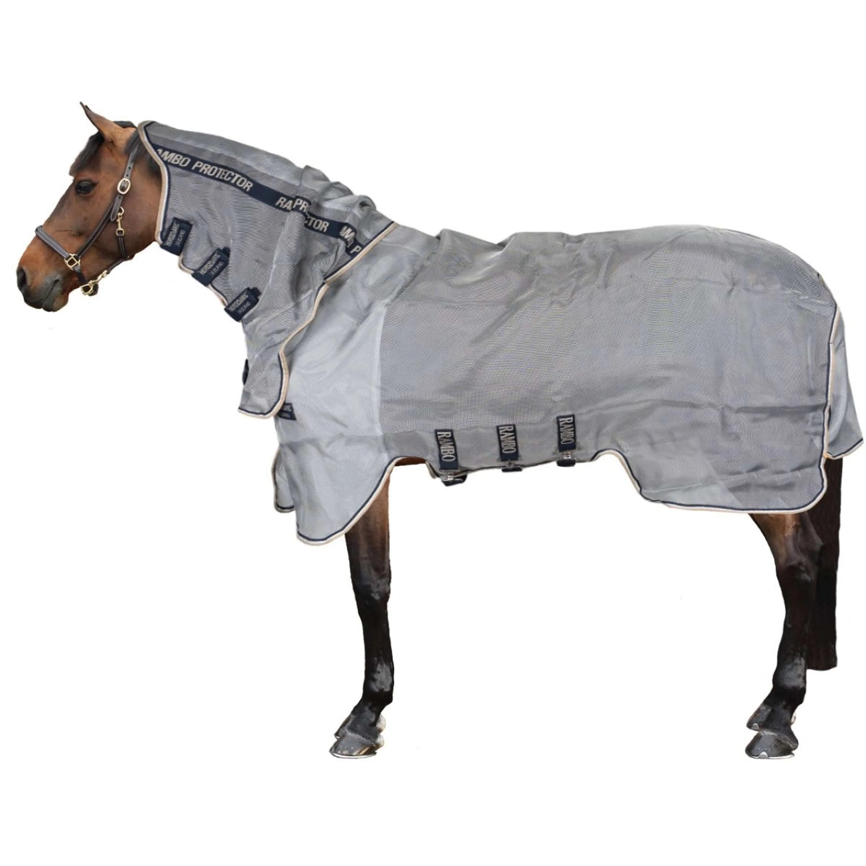Rambo Protecteur Integrated Argent/Marine/Blanc/Beige - Image 2