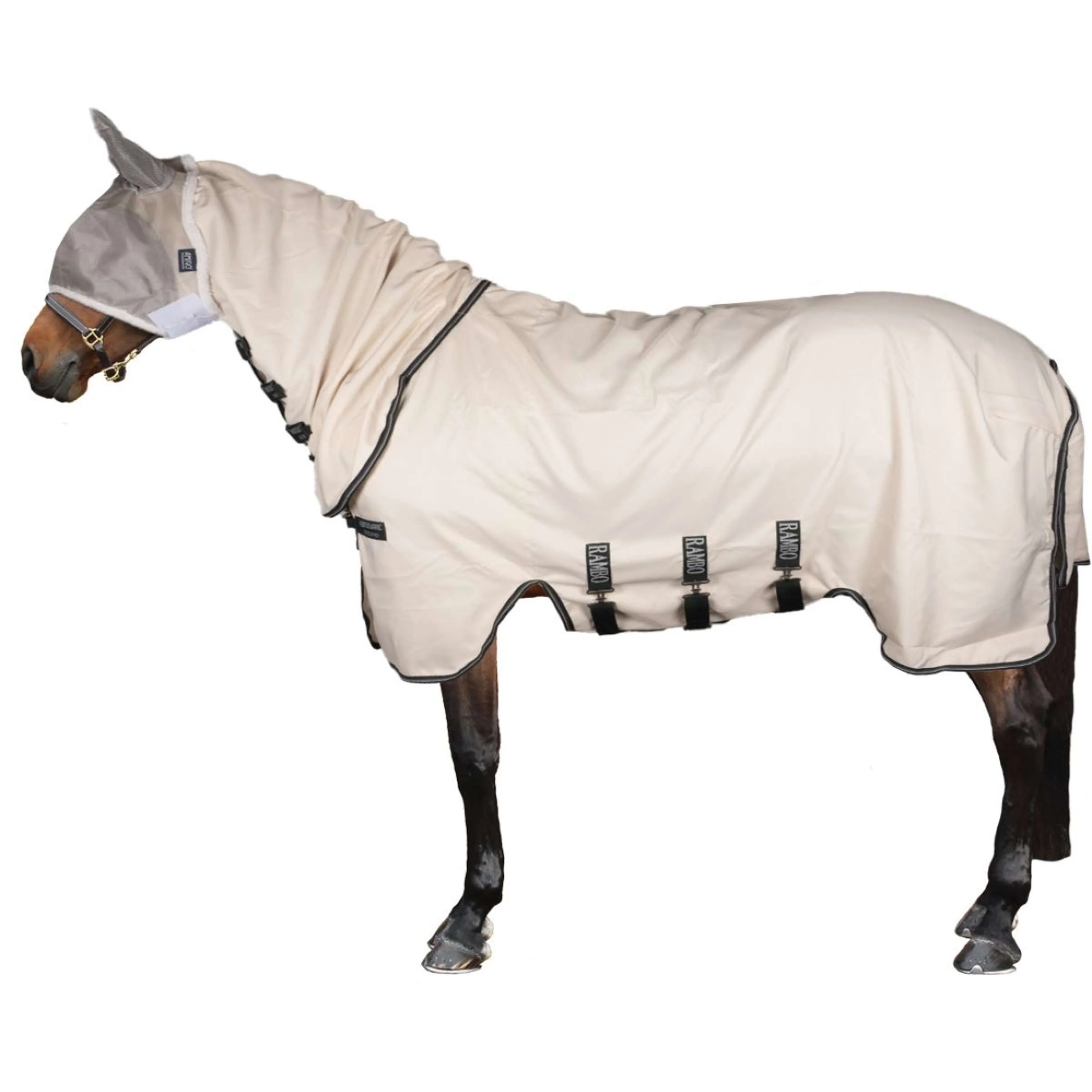 Rambo Pull col Hoodie Pony Craie/Vert chasseur/Argent - Image 3