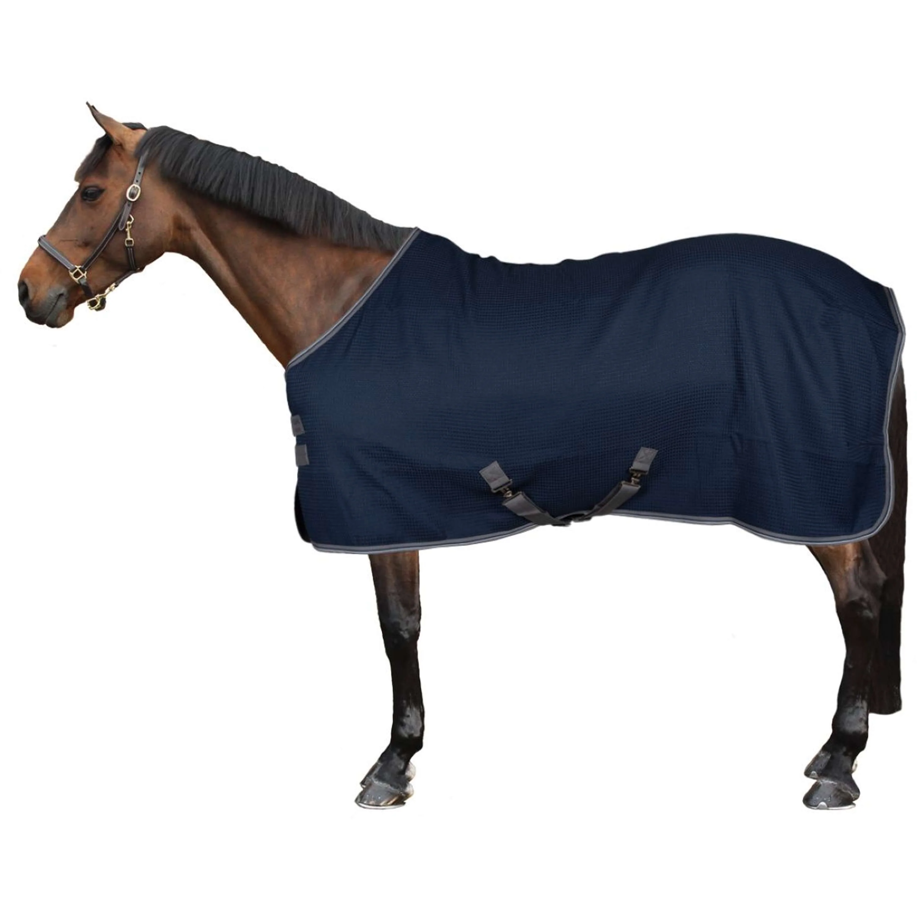 Rambo Waffle Cooler Techni Bleu marine/Gris orage/Argent - Image 2