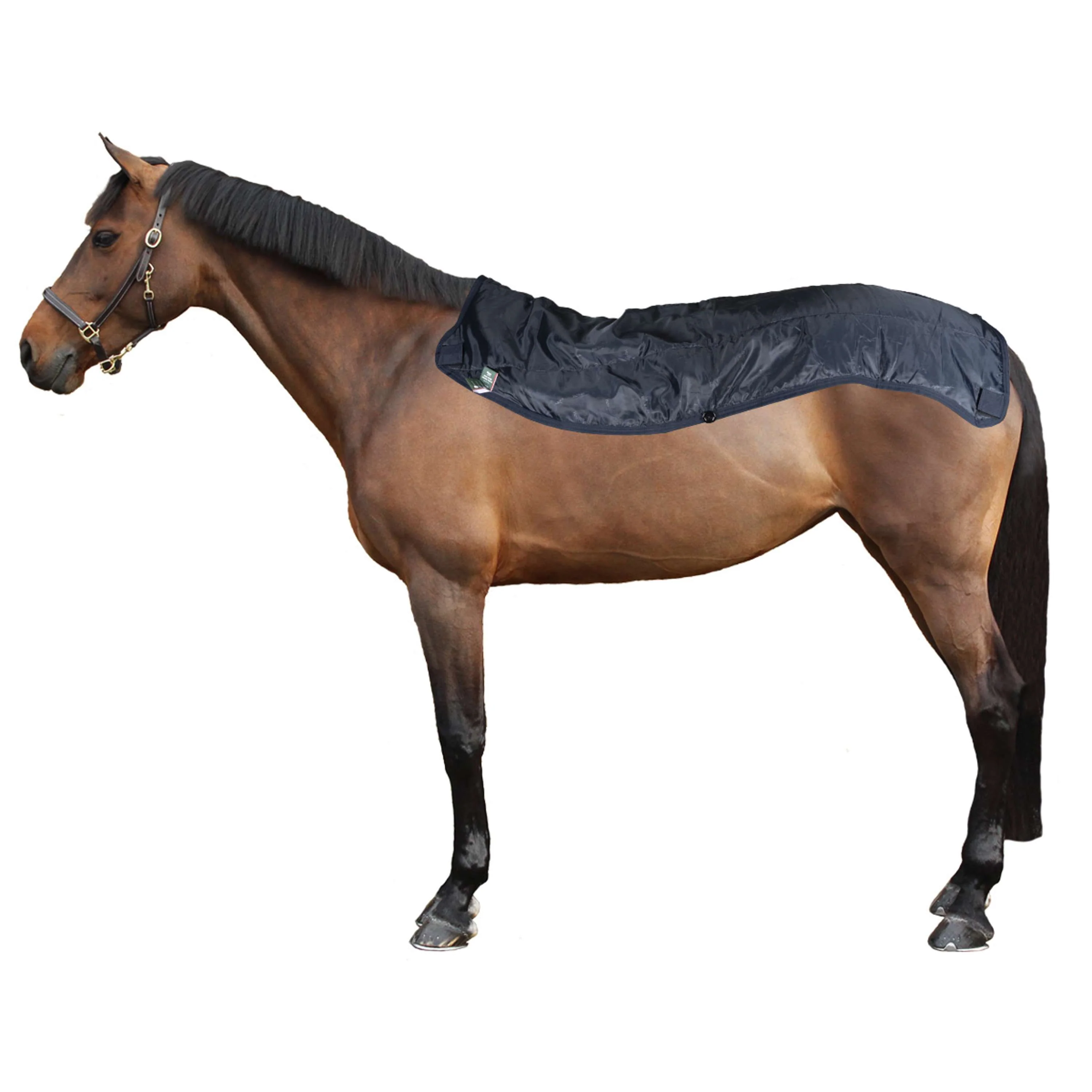 Rambo Chemise Turnout 0g Summer Series Marine/Gris - Image 4