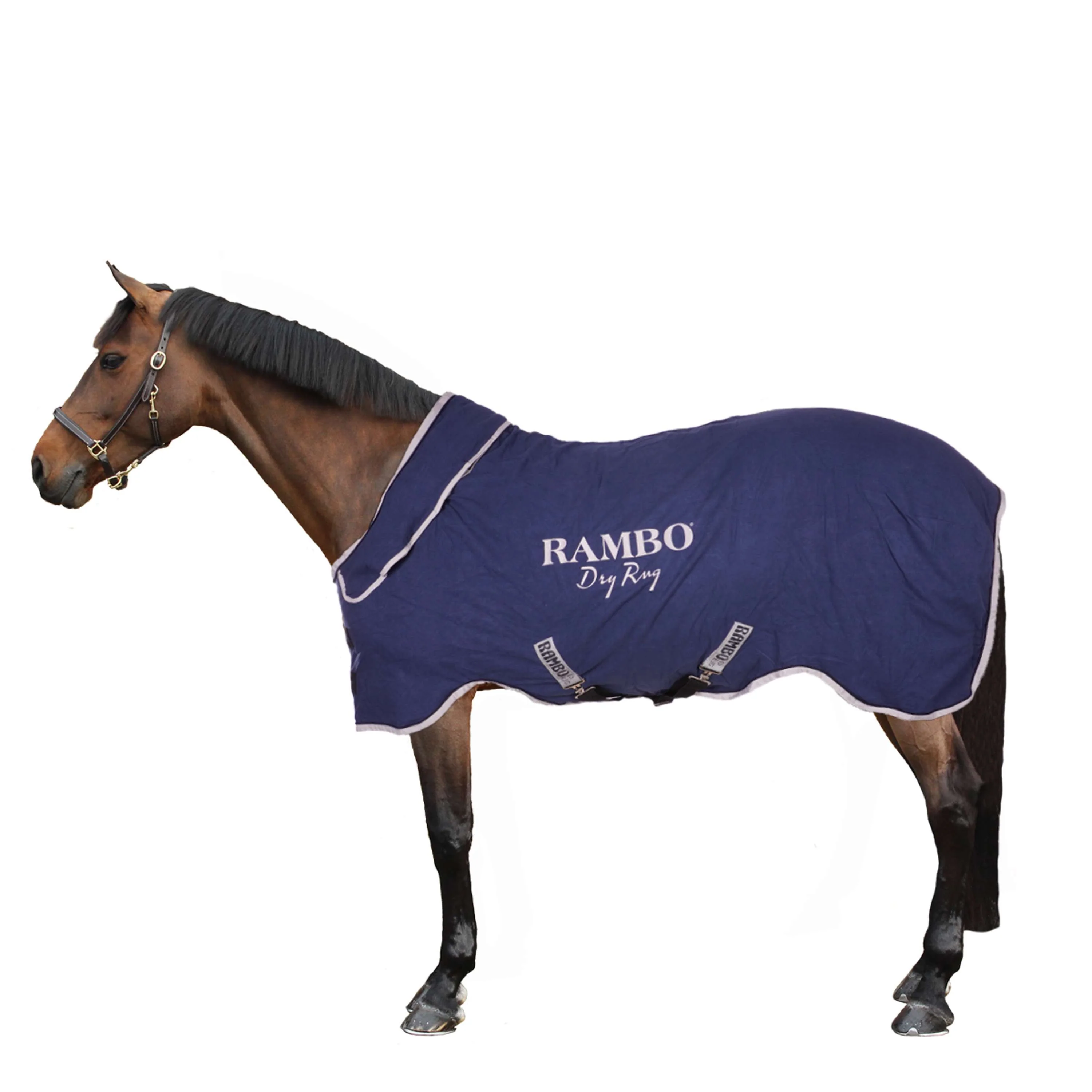 Rambo Dry Rug Supreme Marine/Argent - Image 3