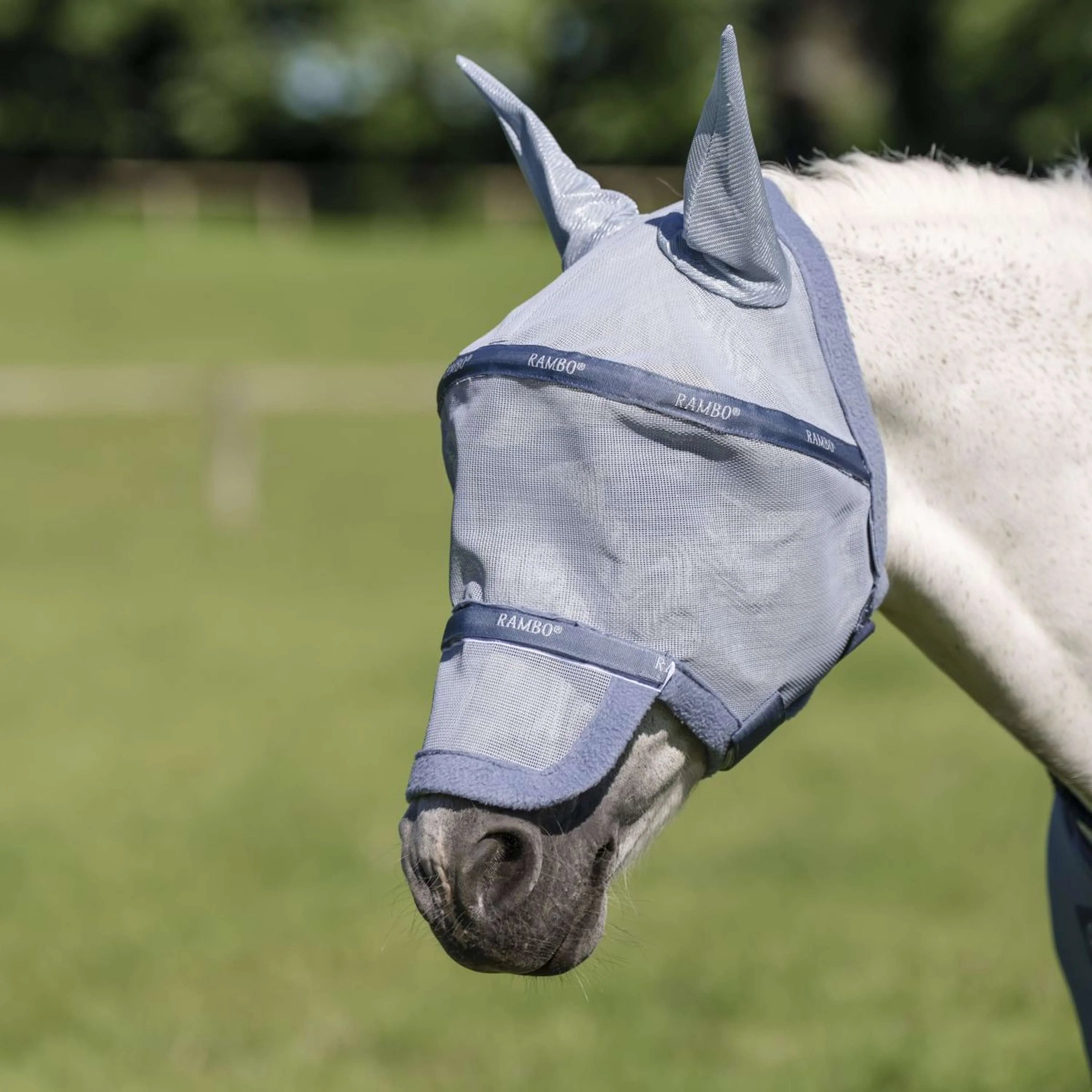 Rambo Masque Anti-Mouches Heather Blue/Blue/Silver - Image 3