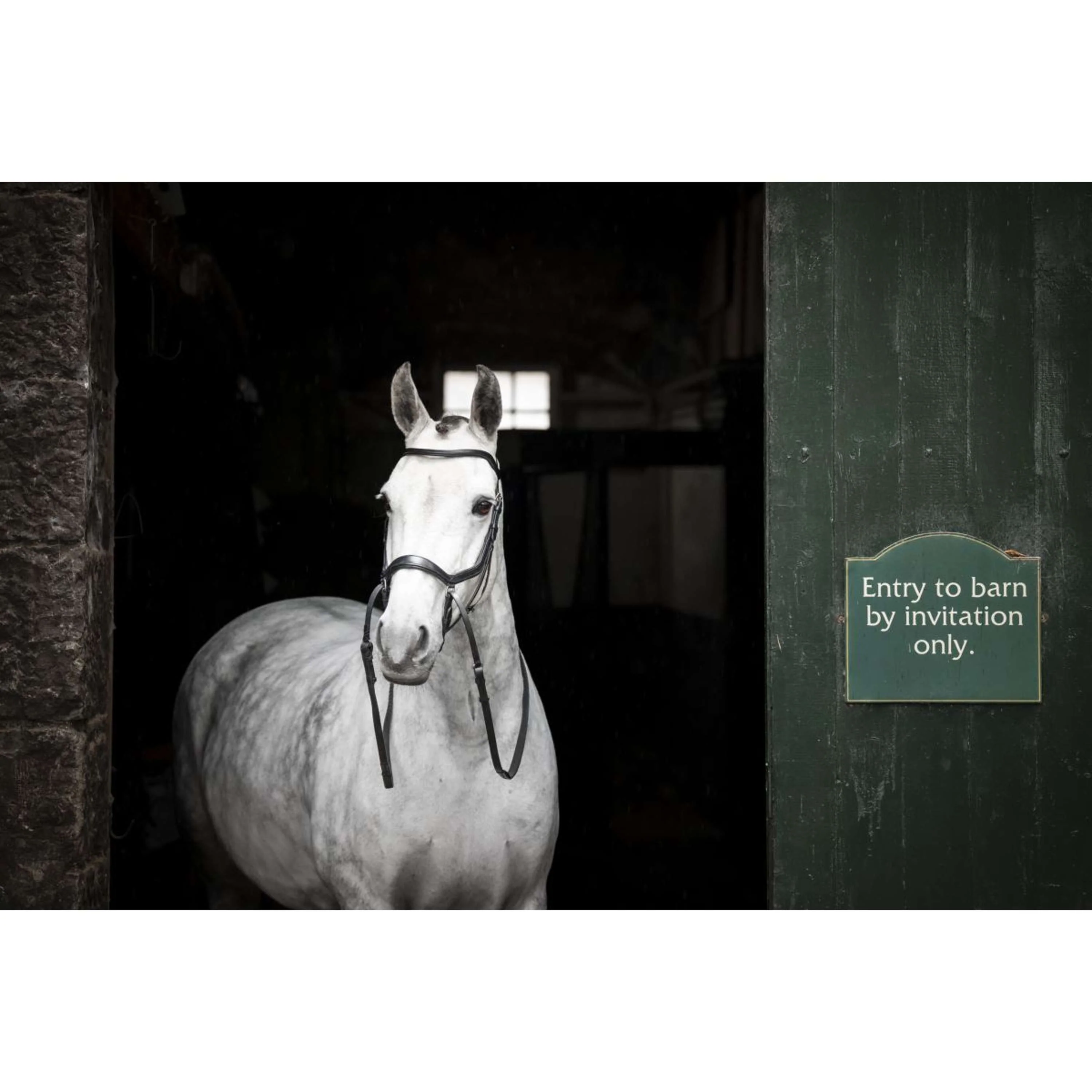 Horseware Micklem Bitless Bridle Noir - Image 2