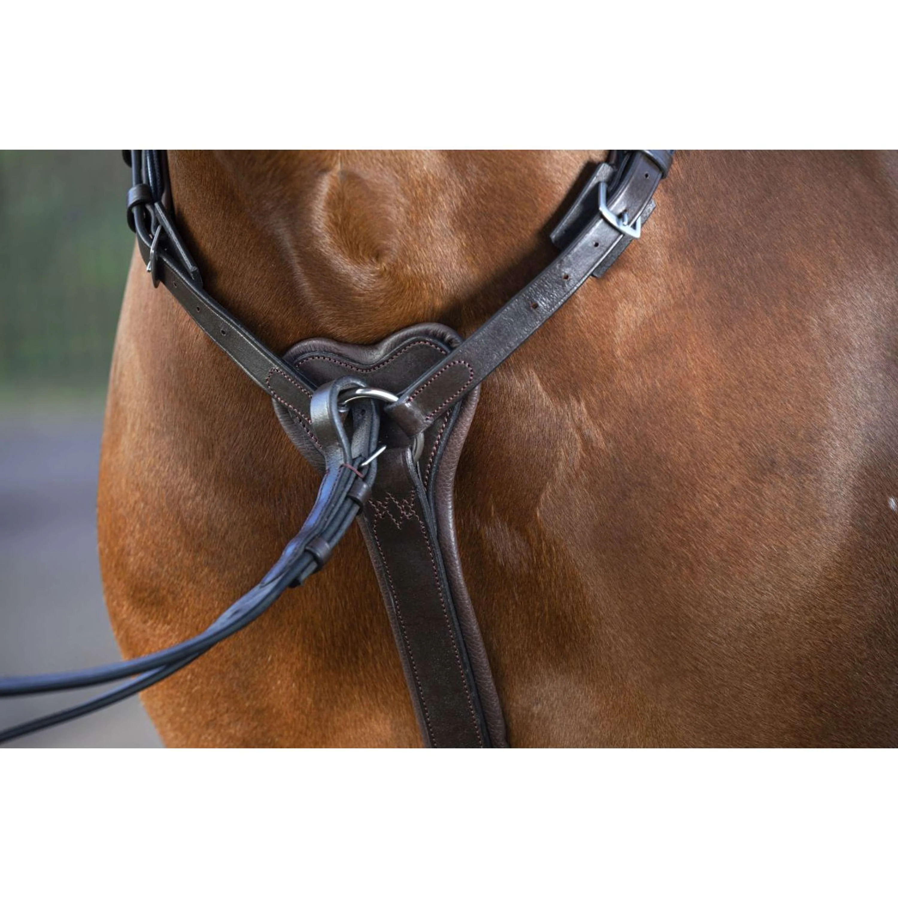 Horseware Micklem Collier de Chasse avec Martingale Marron - Image 2
